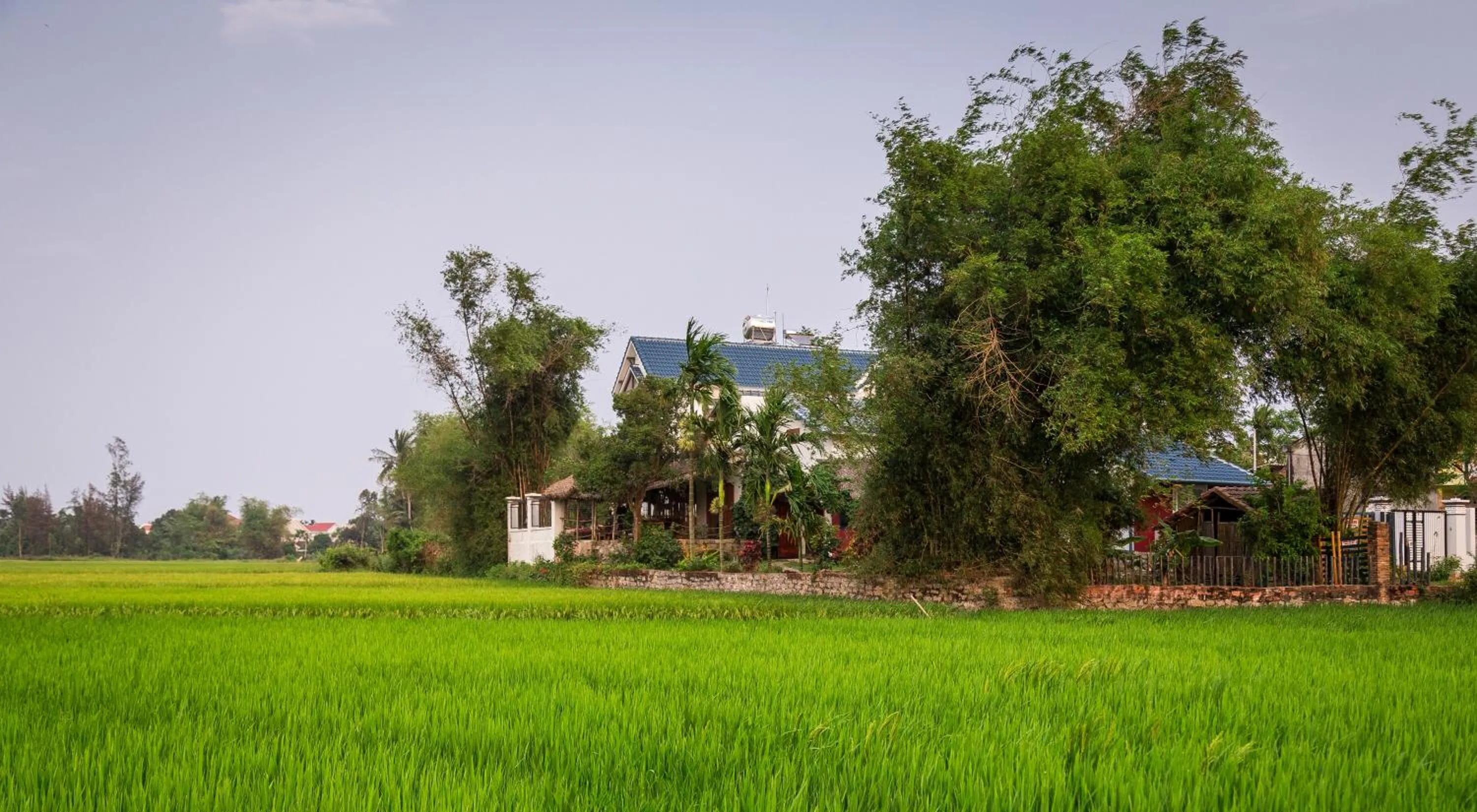 Property building in La Terrazza