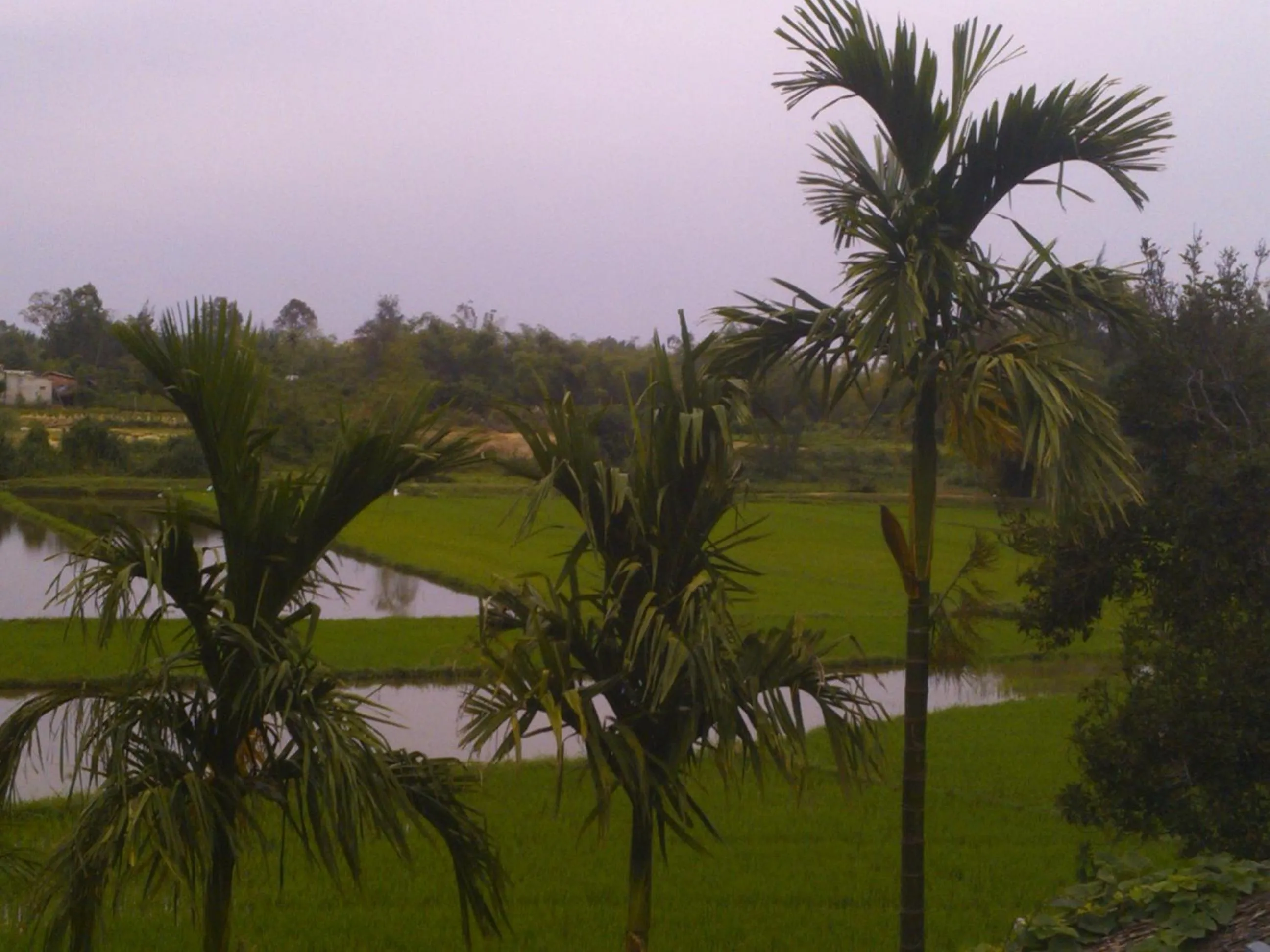 Landmark view in La Terrazza