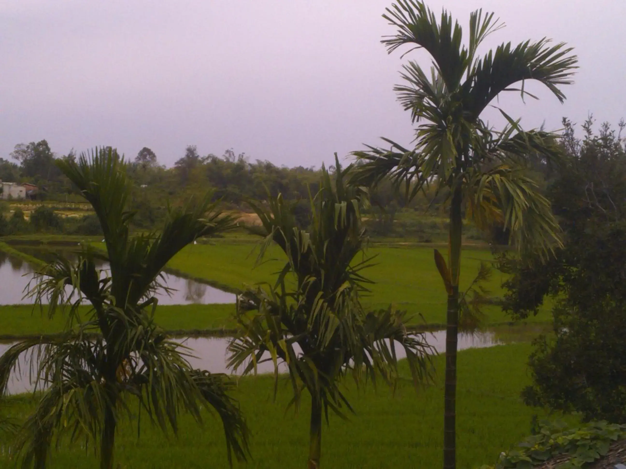 Landmark view in La Terrazza Landmark view in La Terrazza