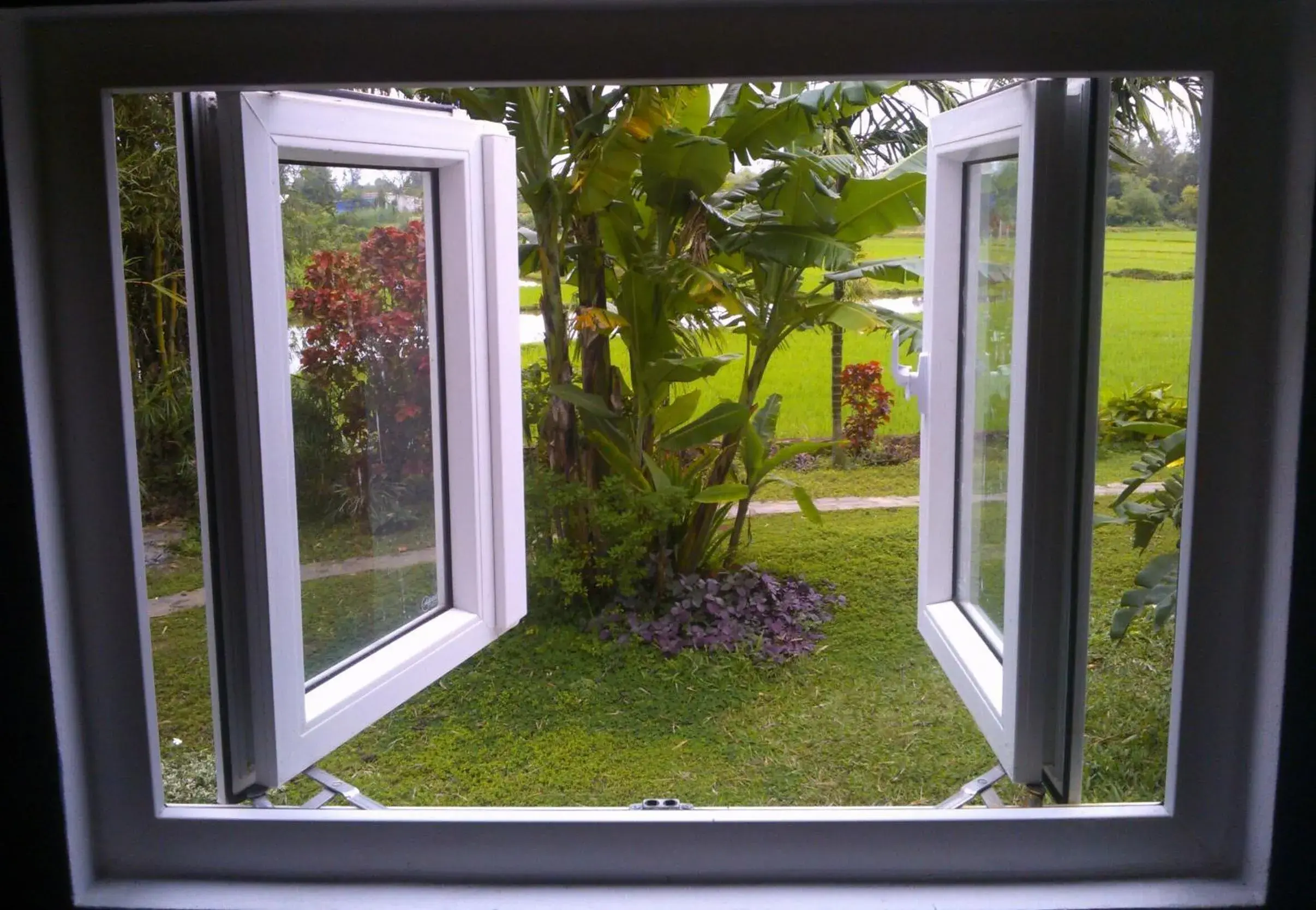 Garden view in La Terrazza Garden view in La Terrazza