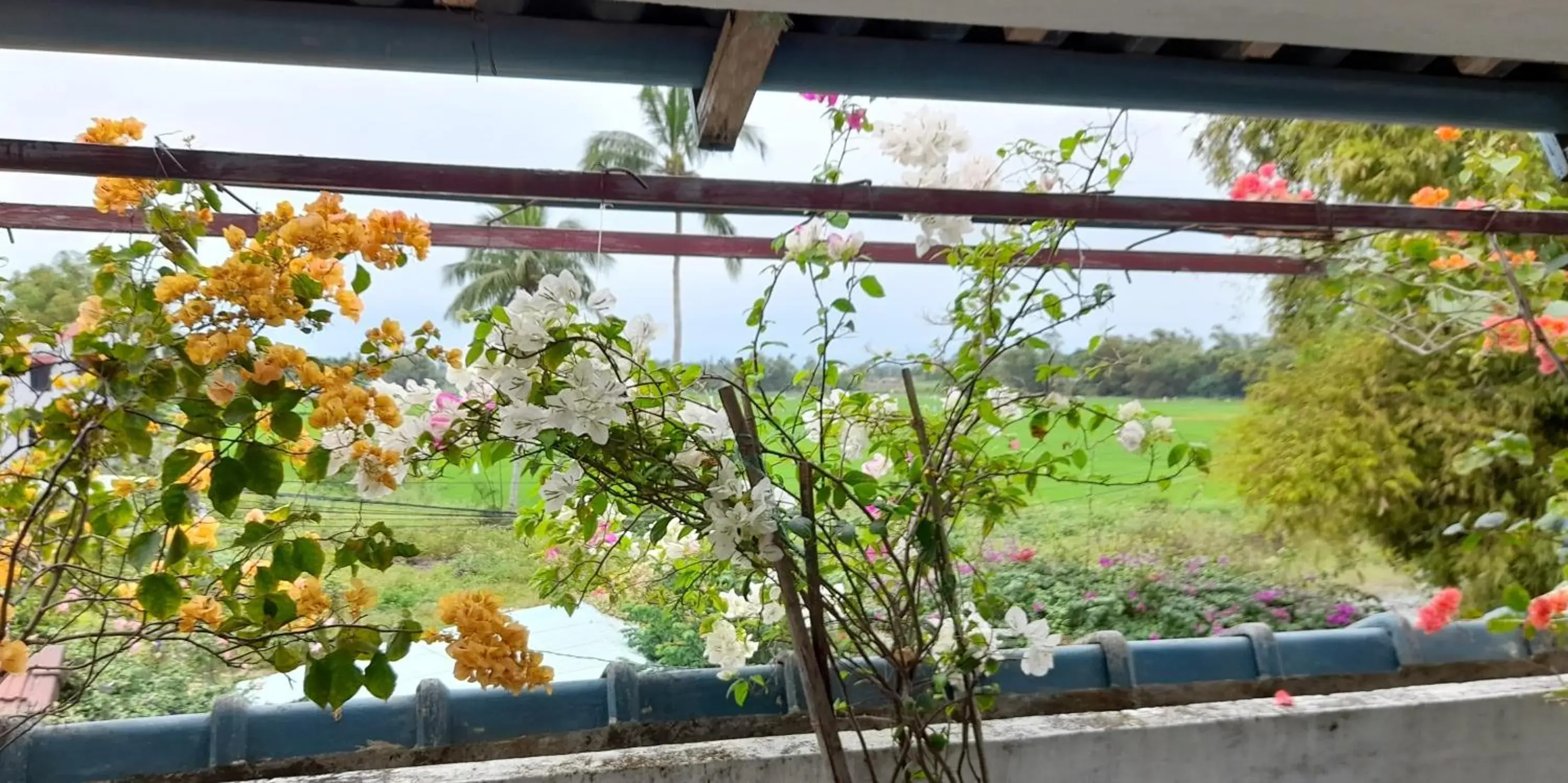 View (from property/room) in La Terrazza View (from property/room) in La Terrazza