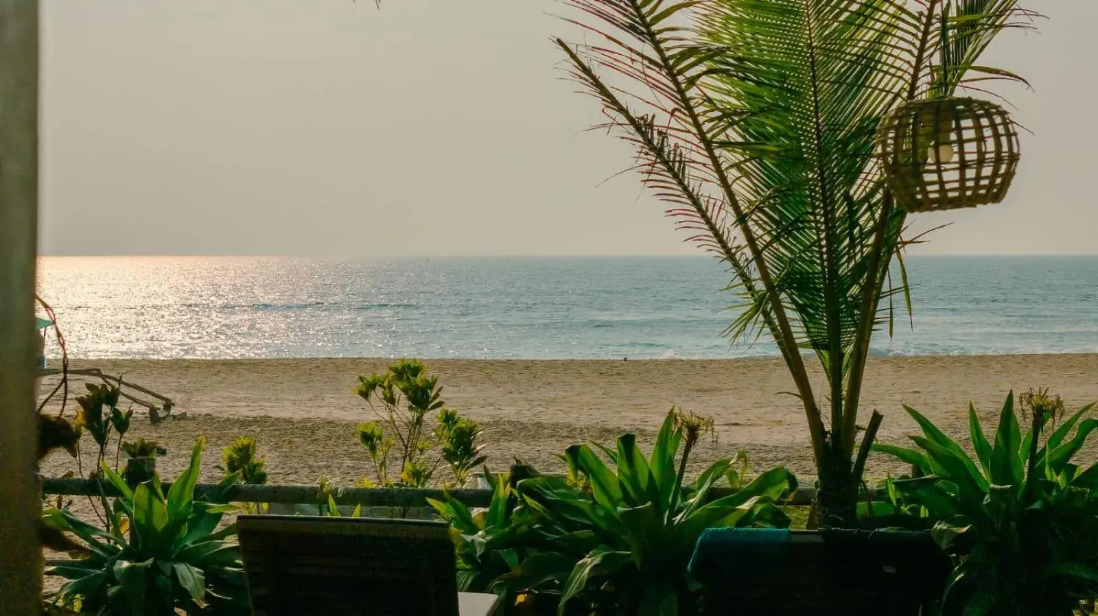 Mariposa Beach Grove Mariposa Beach Grove