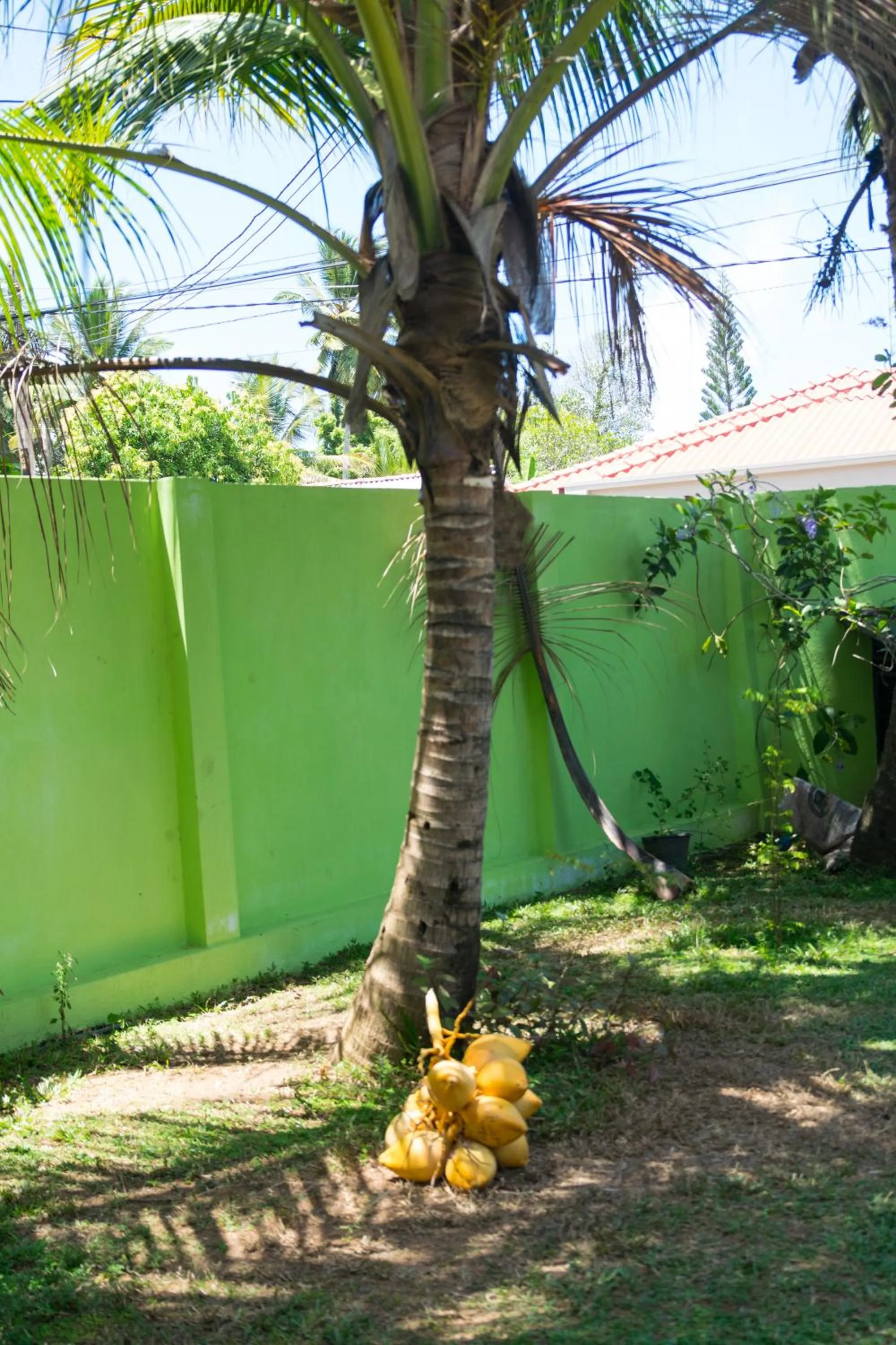 Off site in FEEL Beach Apartments