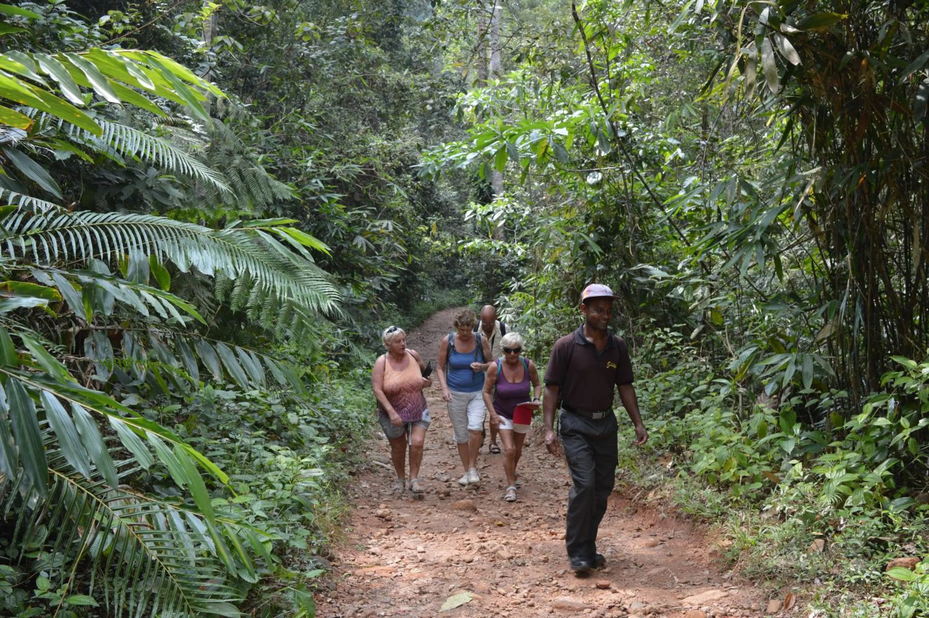 View (from property/room) in FEEL Beach Apartments