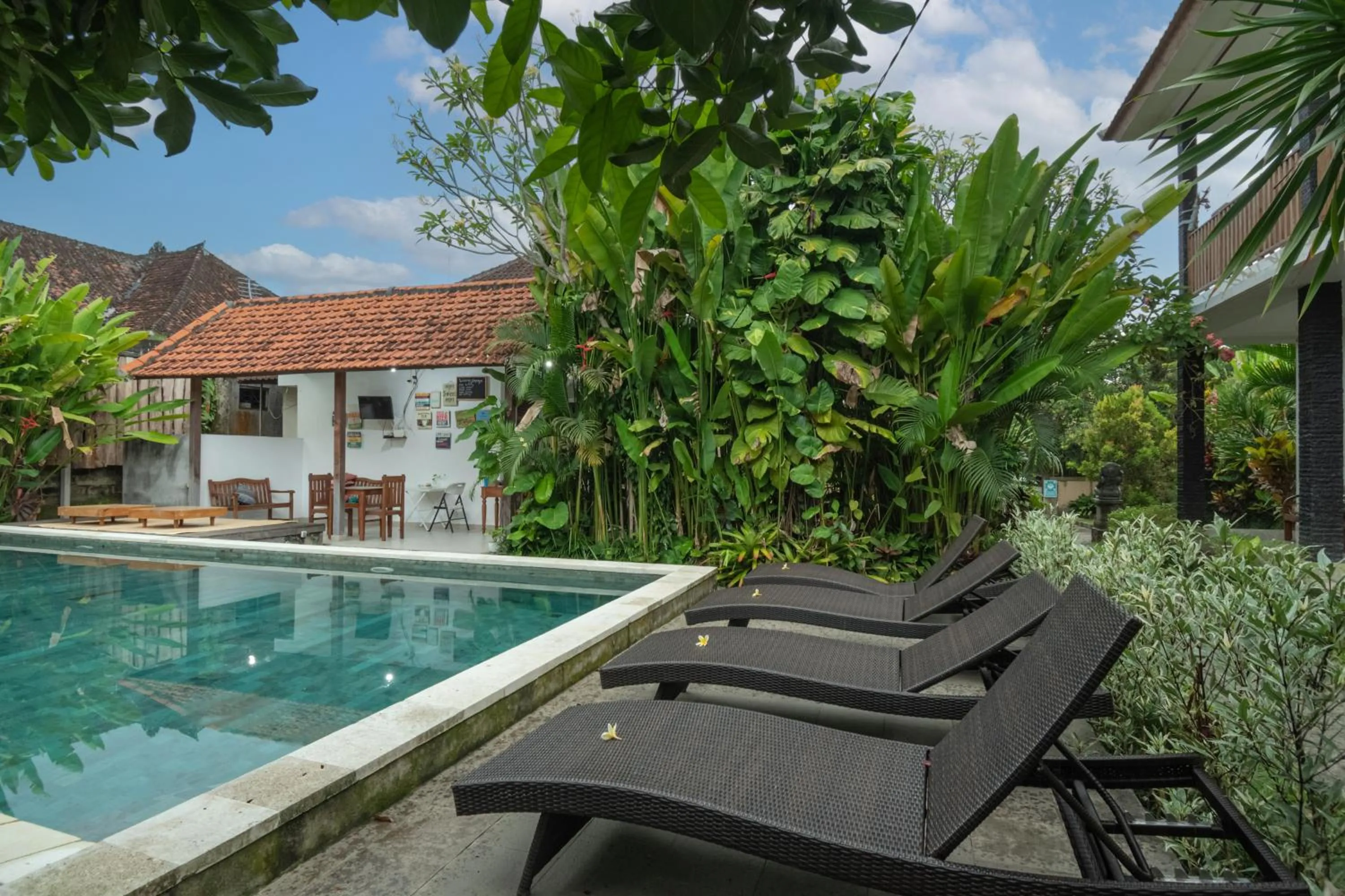 Swimming pool in Green Papaya House