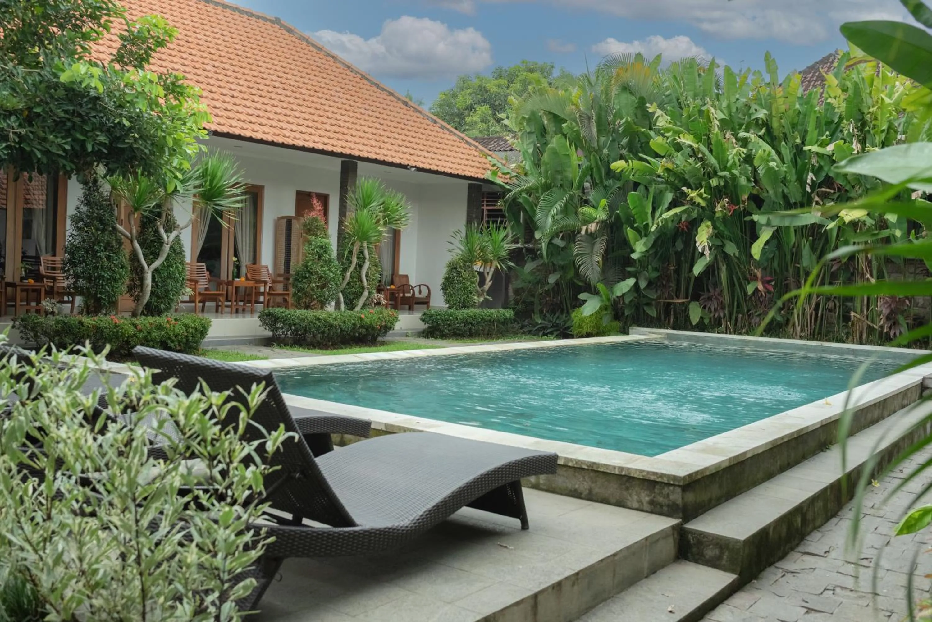 Swimming pool in Green Papaya House