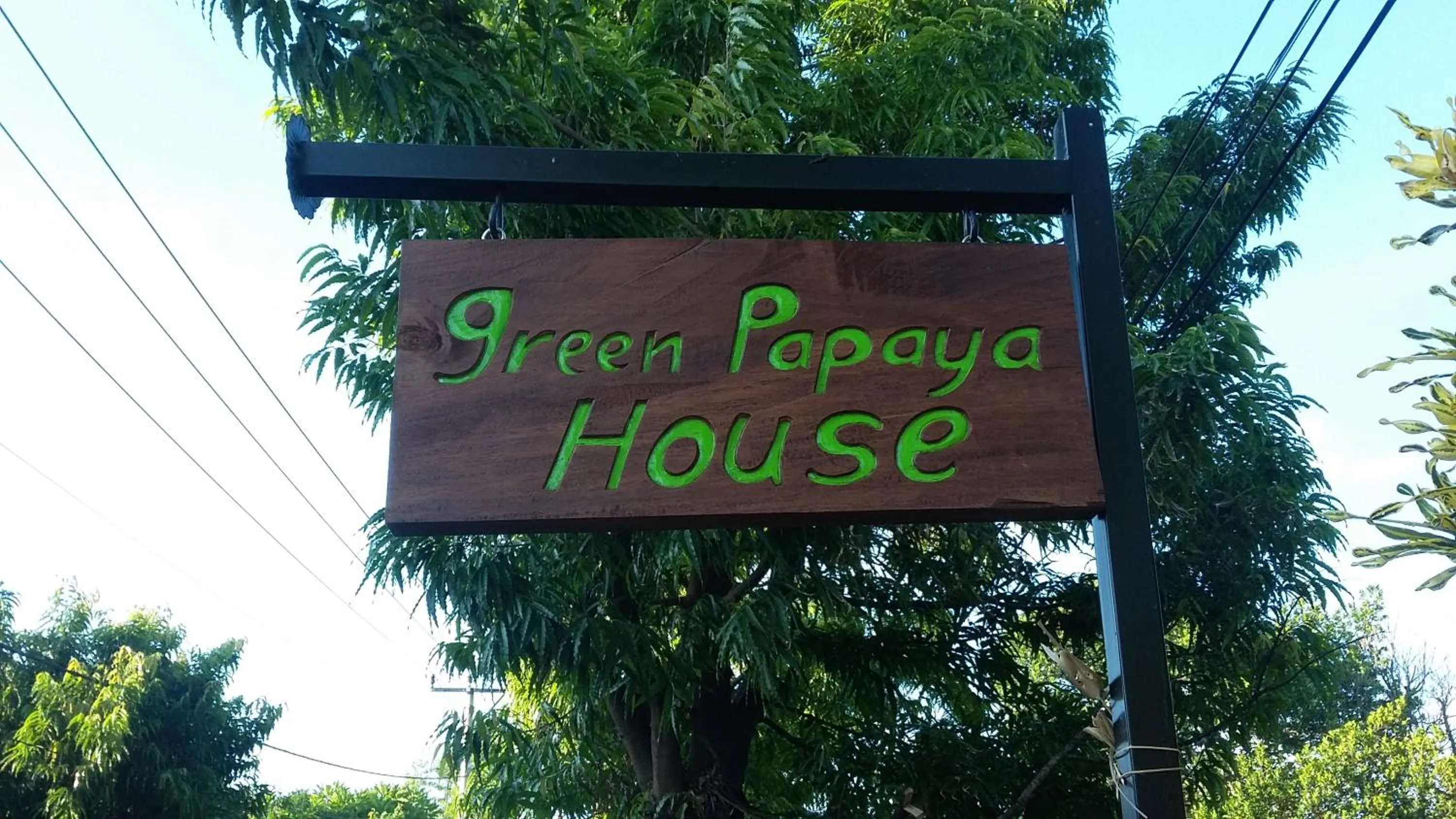 Property logo or sign in Green Papaya House
