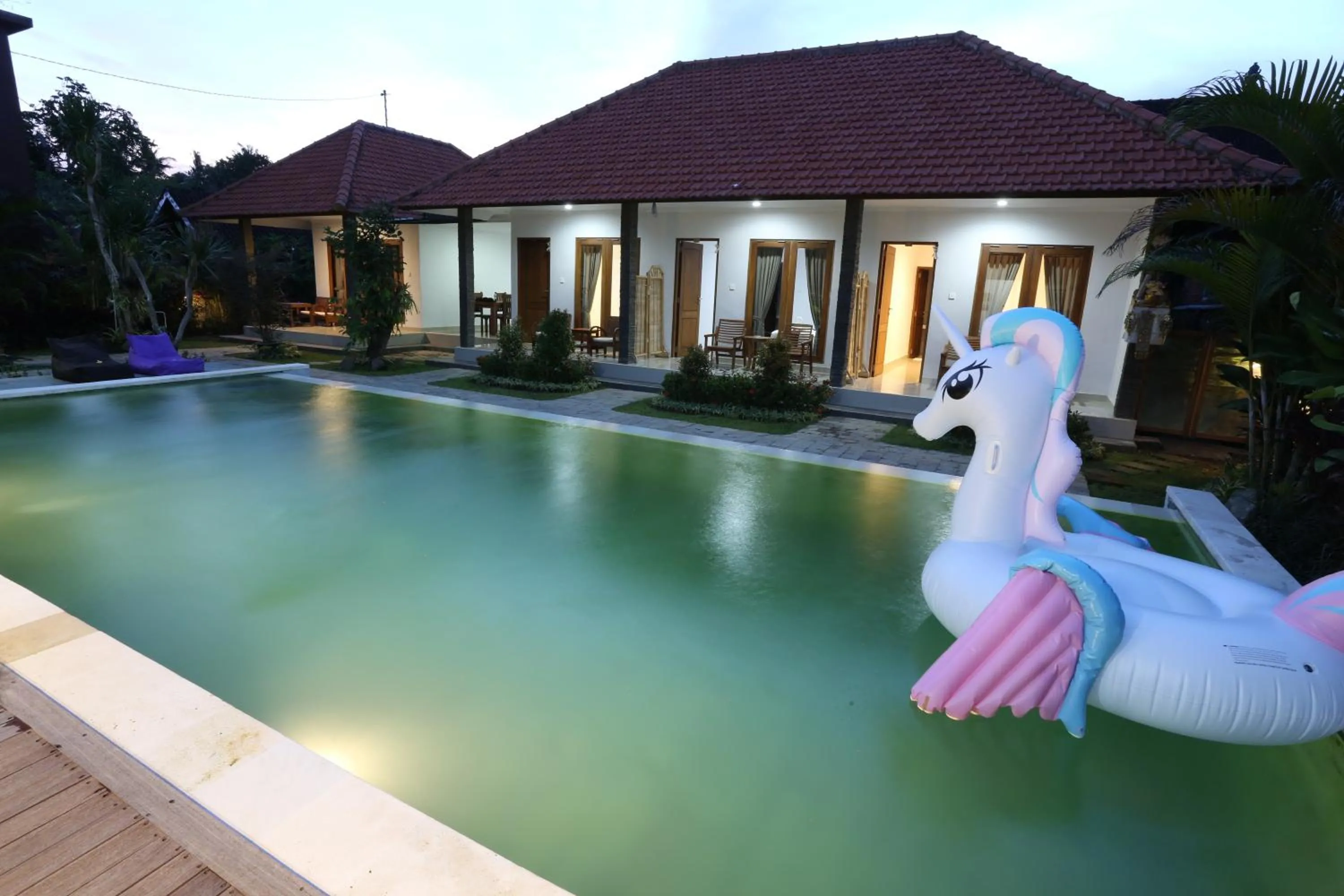 Swimming pool in Green Papaya House