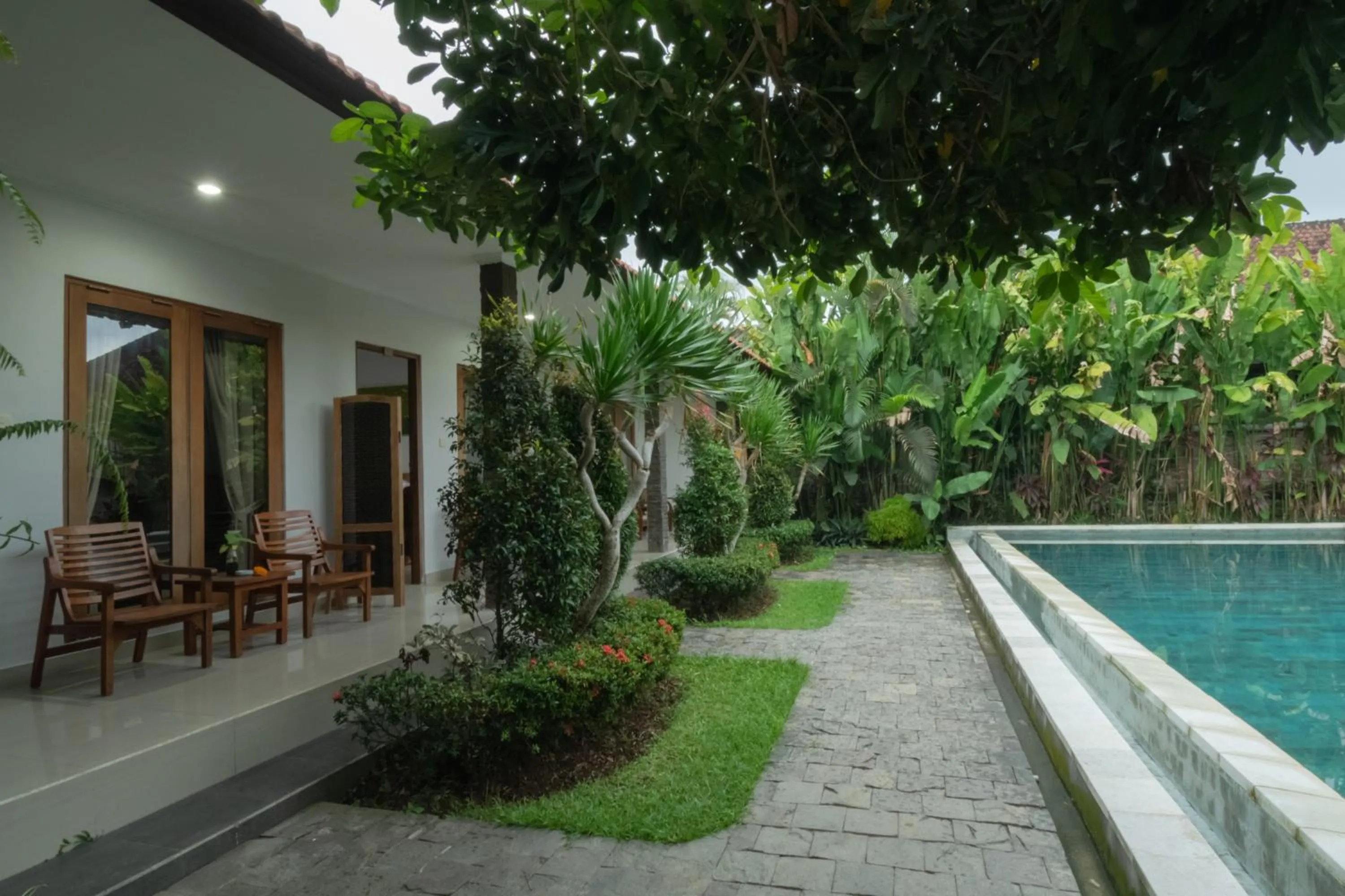 Swimming pool in Green Papaya House