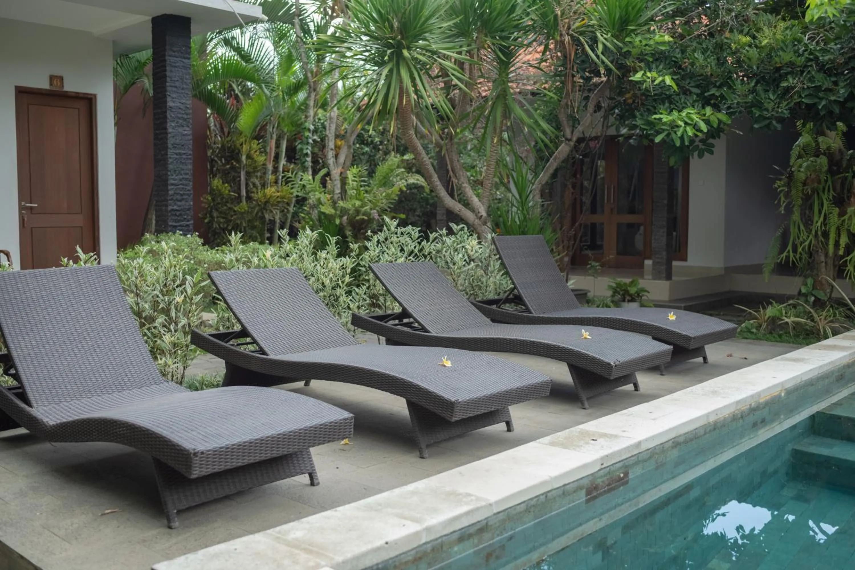 Swimming pool in Green Papaya House