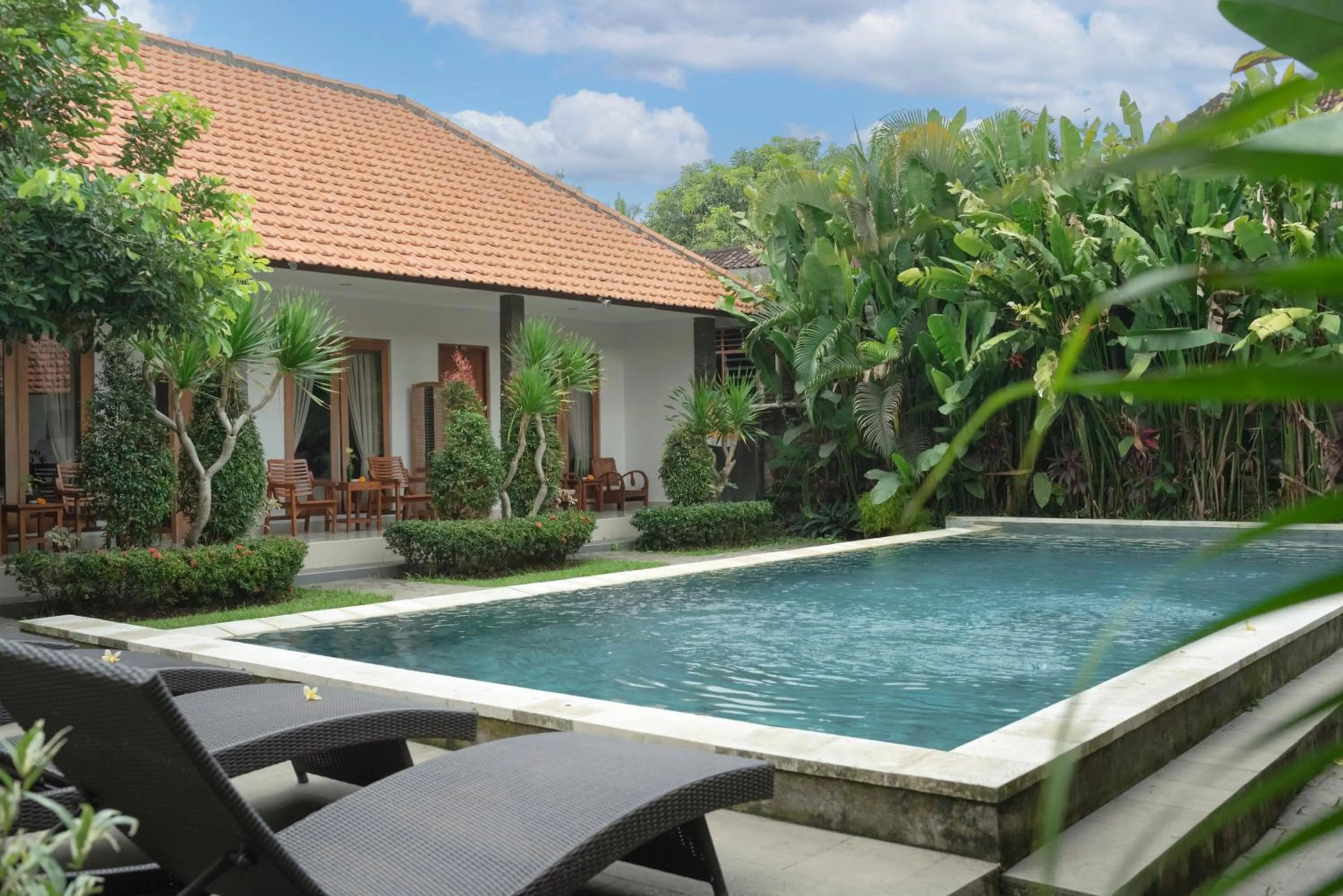 Swimming pool in Green Papaya House