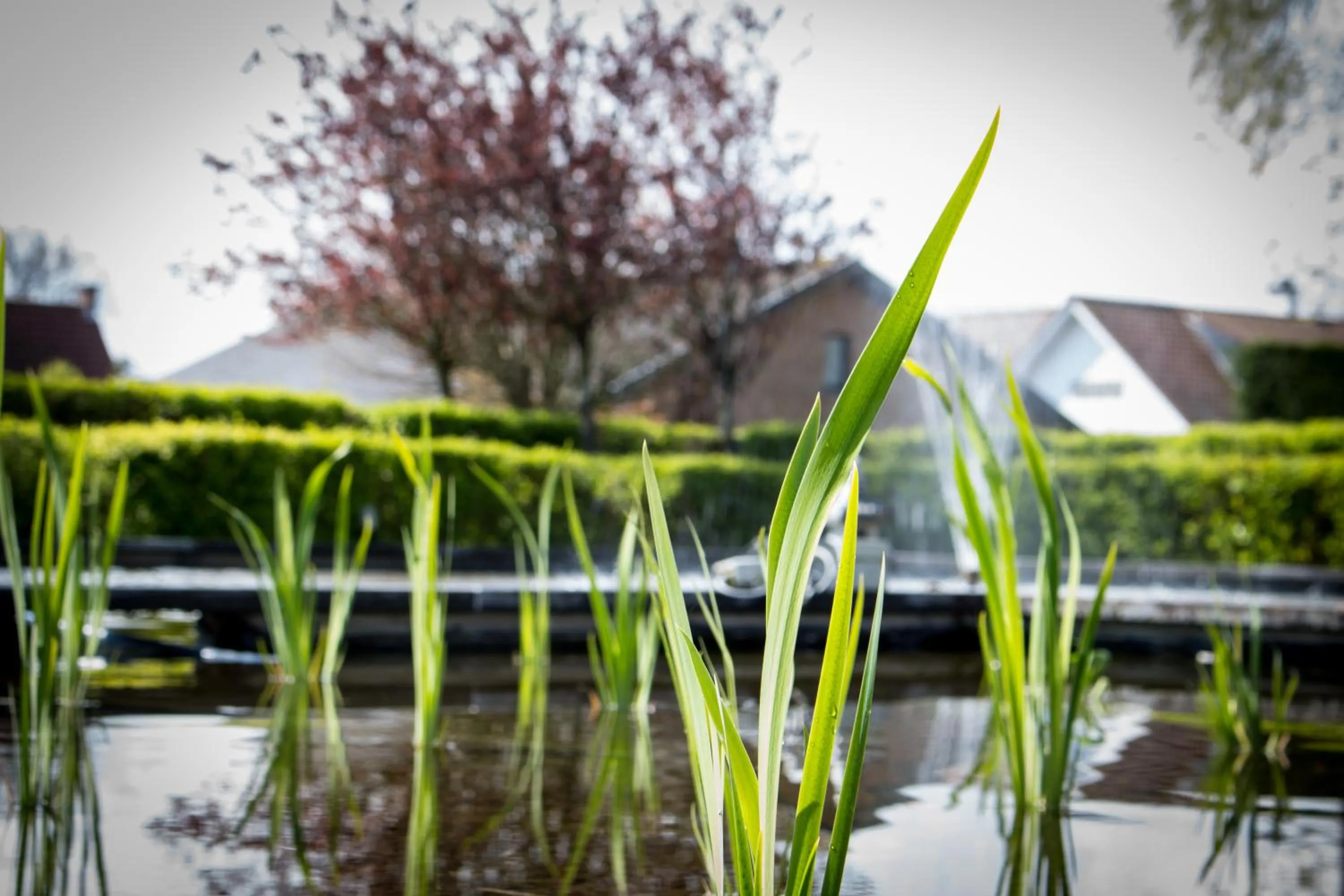 Garden in Holiday Suites De Haan