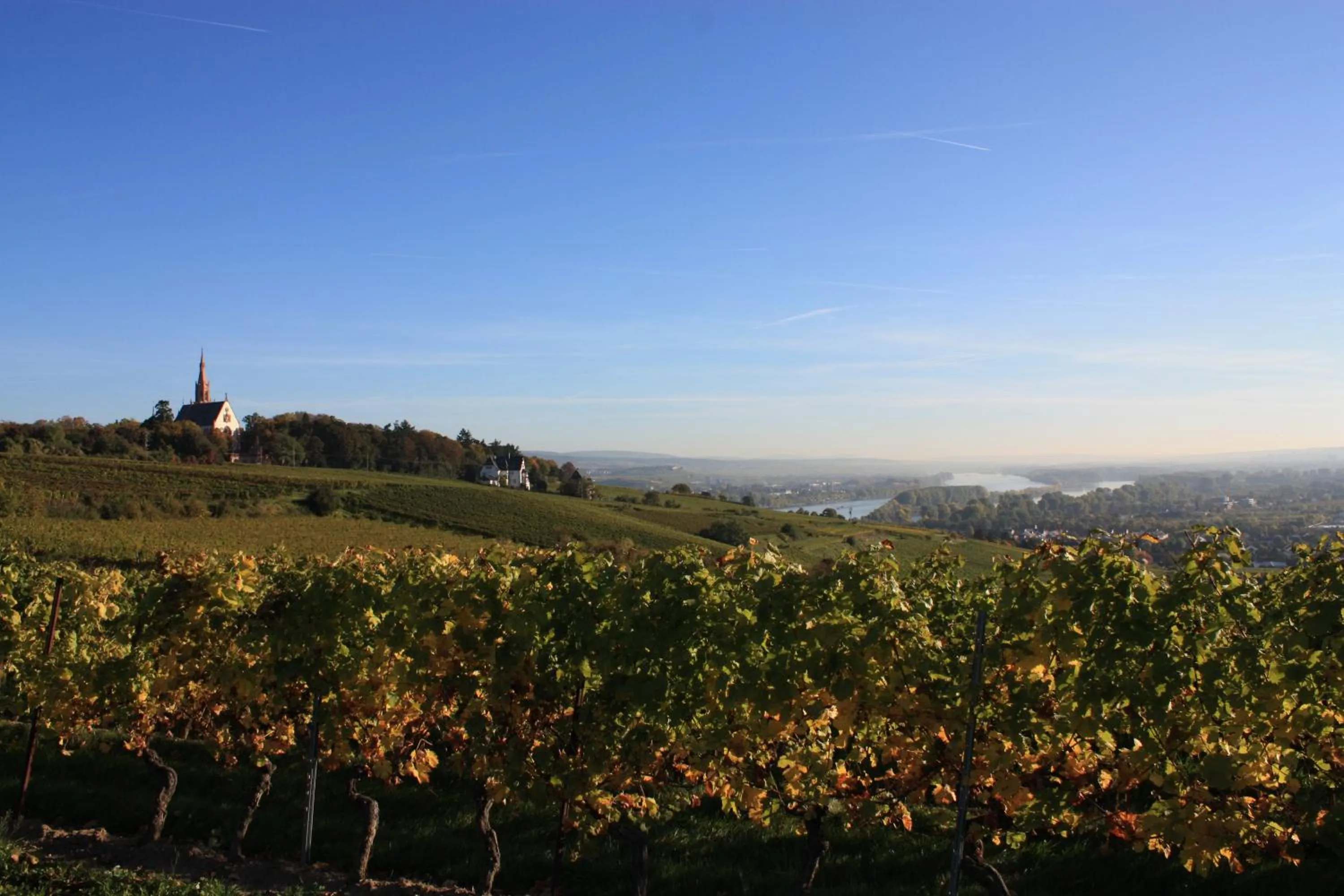 Natural landscape in Hotel Krone