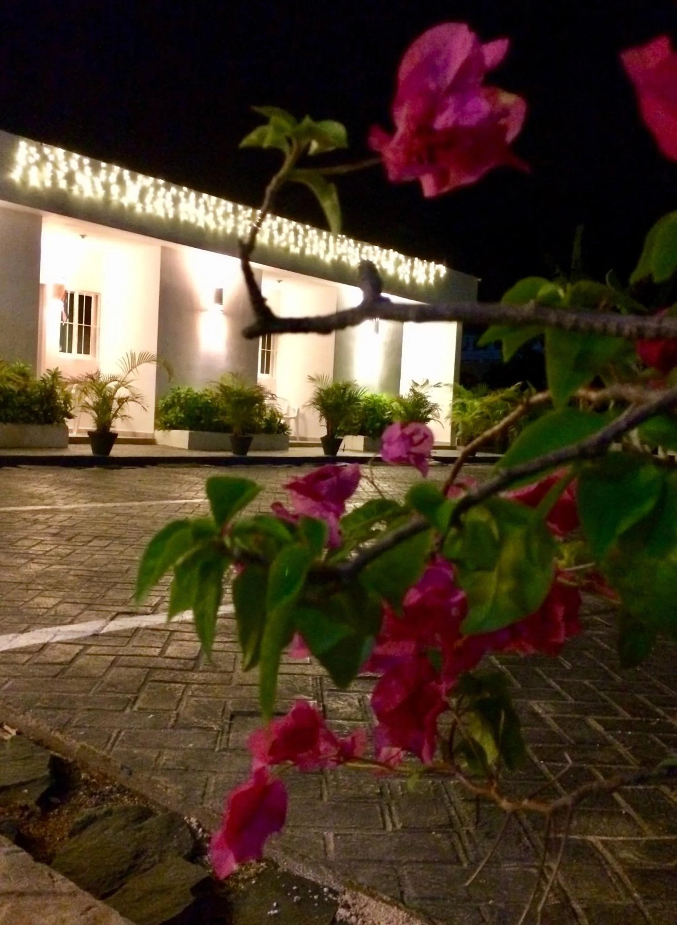 Night in Albergo El Pulpo, Bayahíbe