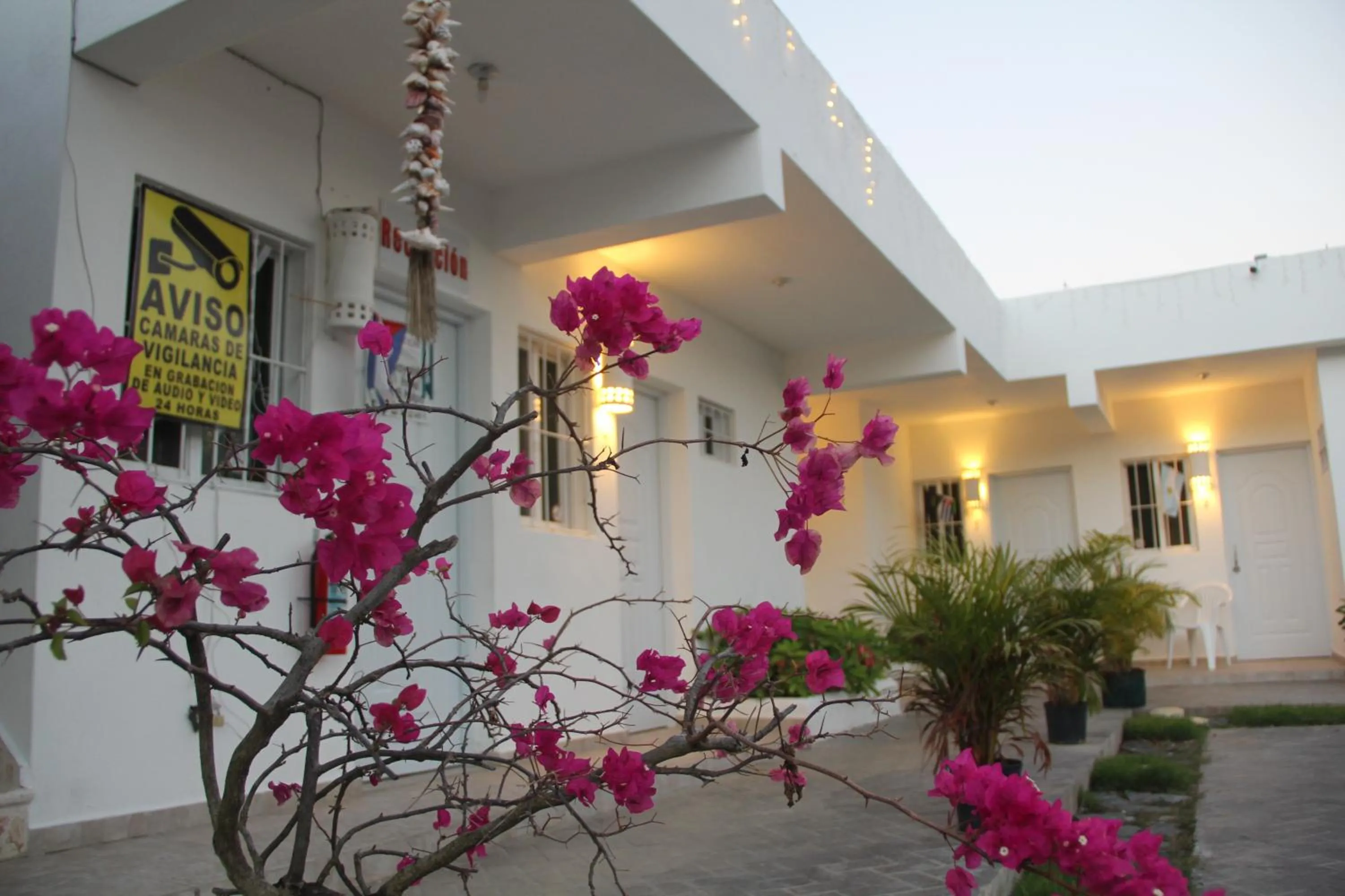Decorative detail in Albergo El Pulpo, Bayahíbe