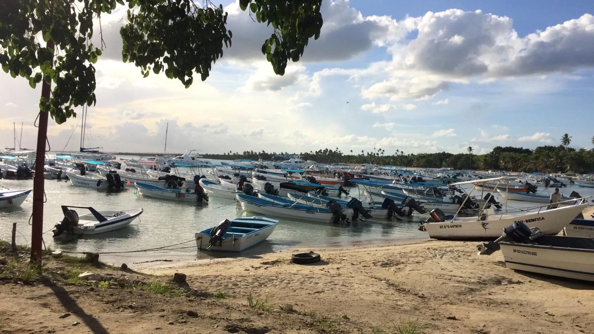 Day in Albergo El Pulpo, Bayahíbe