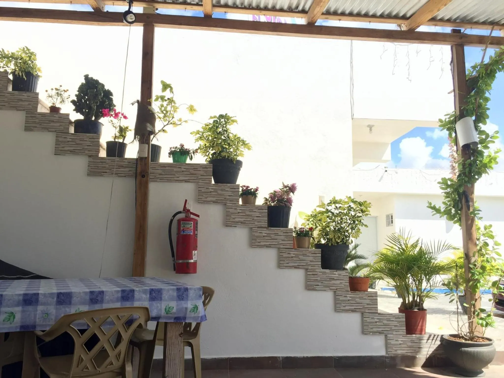 Property building in Albergo El Pulpo, Bayahíbe