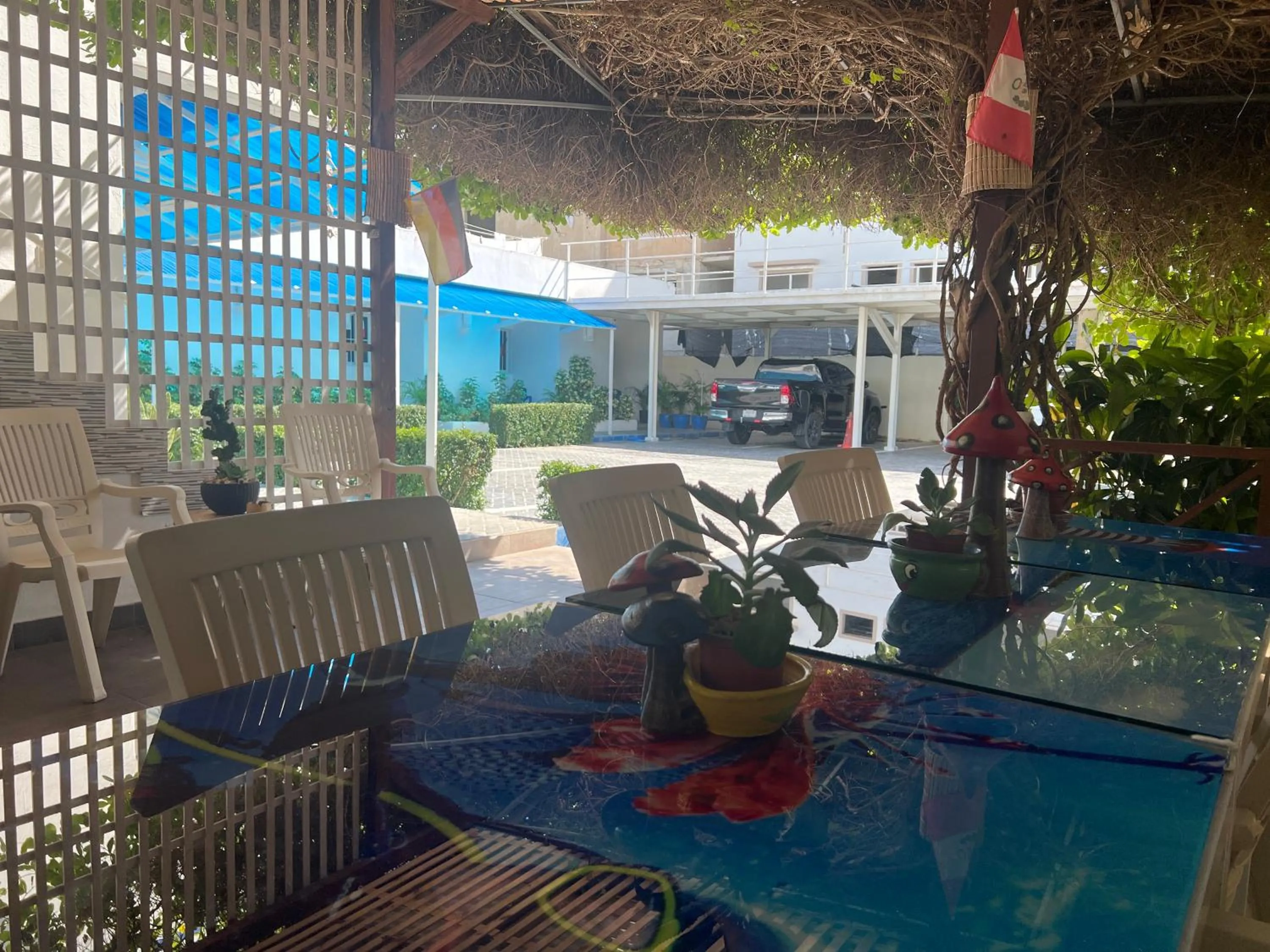 Day in Albergo El Pulpo, Bayahíbe