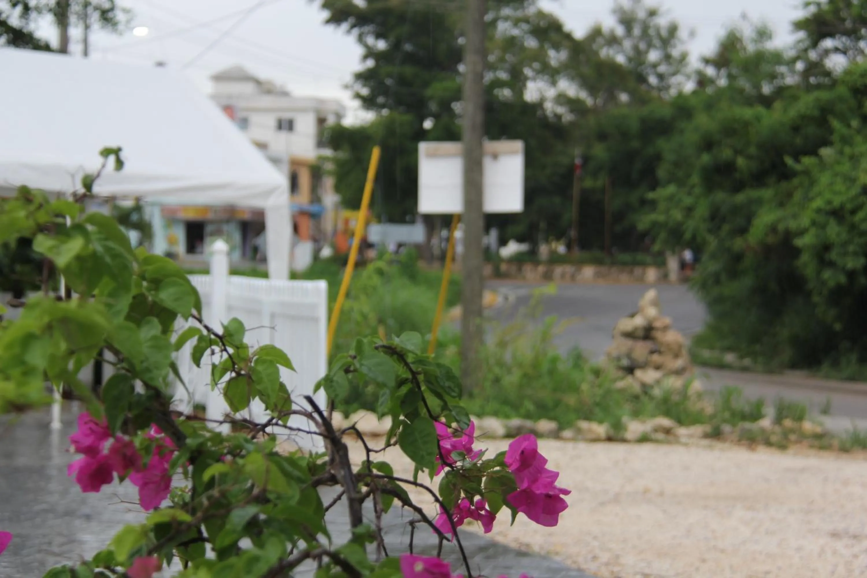 Other in Albergo El Pulpo, Bayahíbe