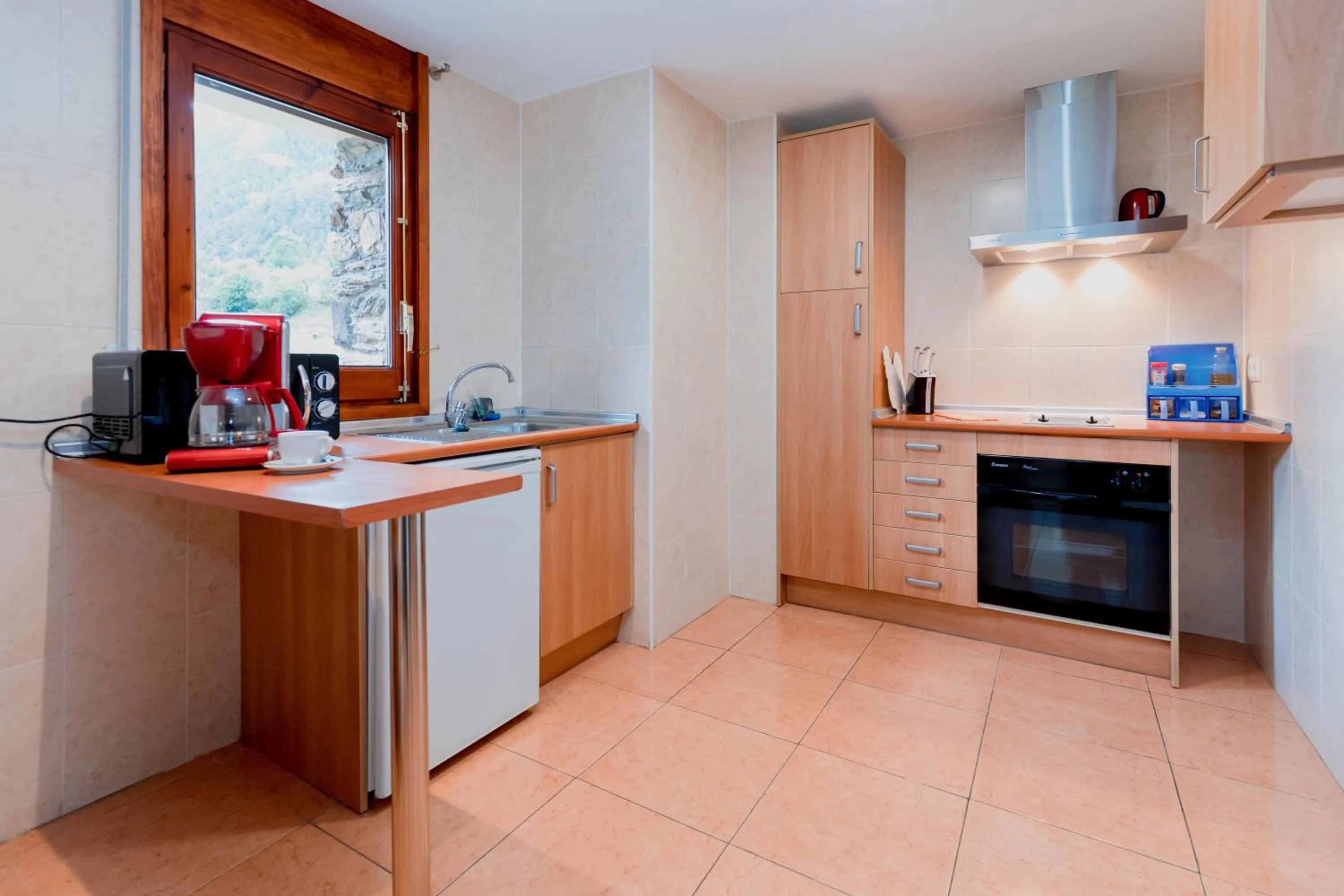 Kitchen or kitchenette in Pierre & Vacances Aparthotel La Tulipa