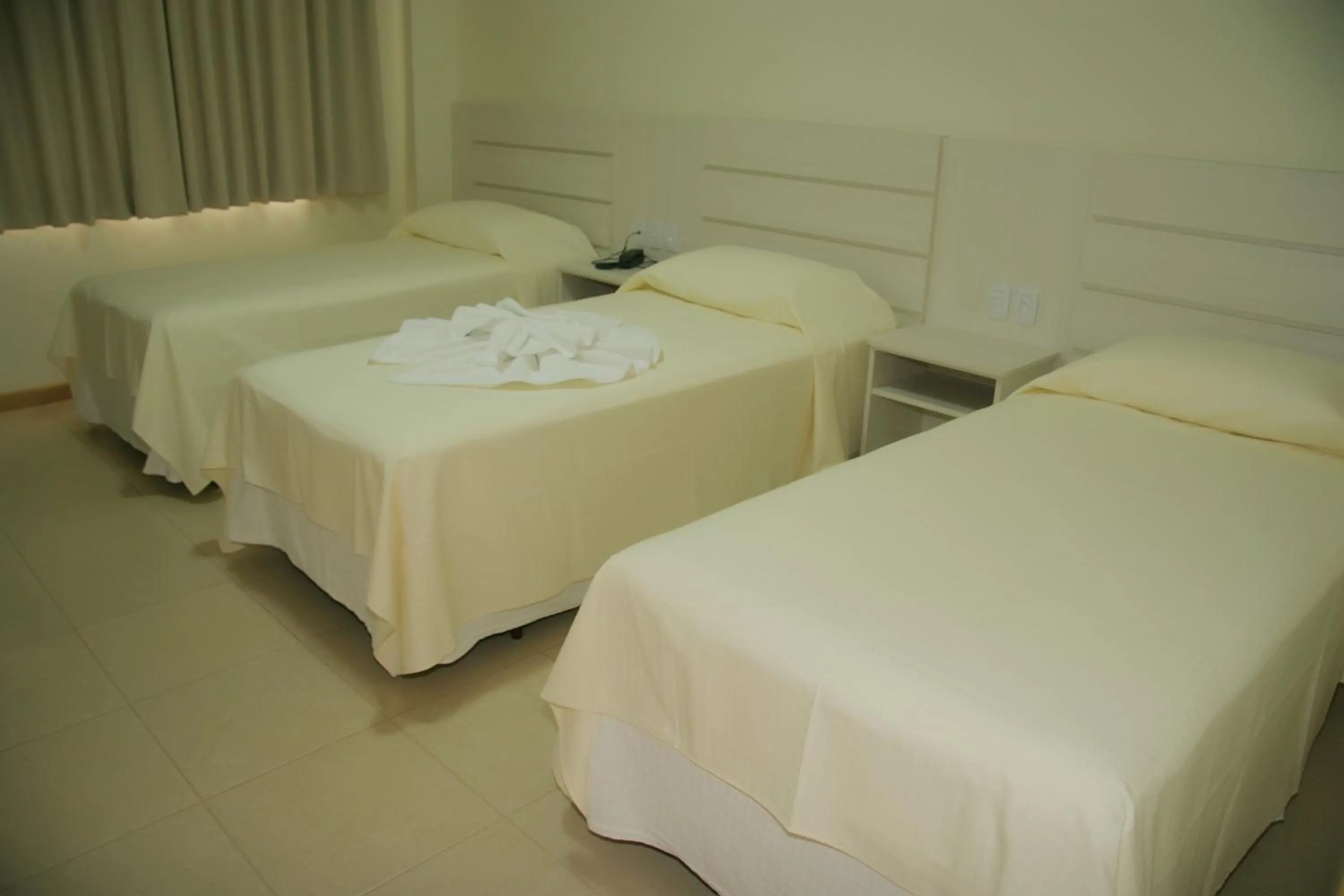 Deluxe Triple Room - single occupancy in Thile Park Hotel