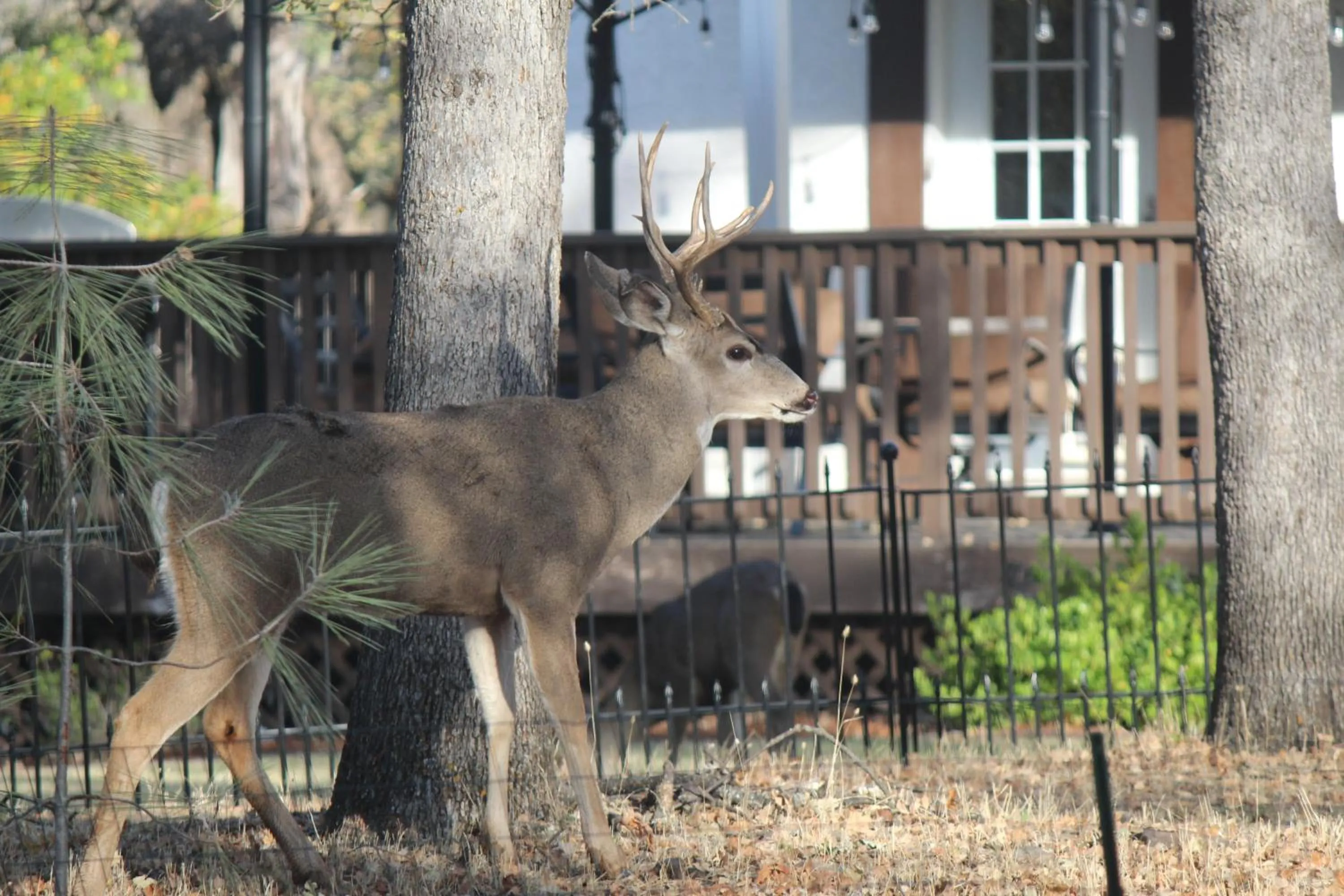 Property building in Hope Inn Redding