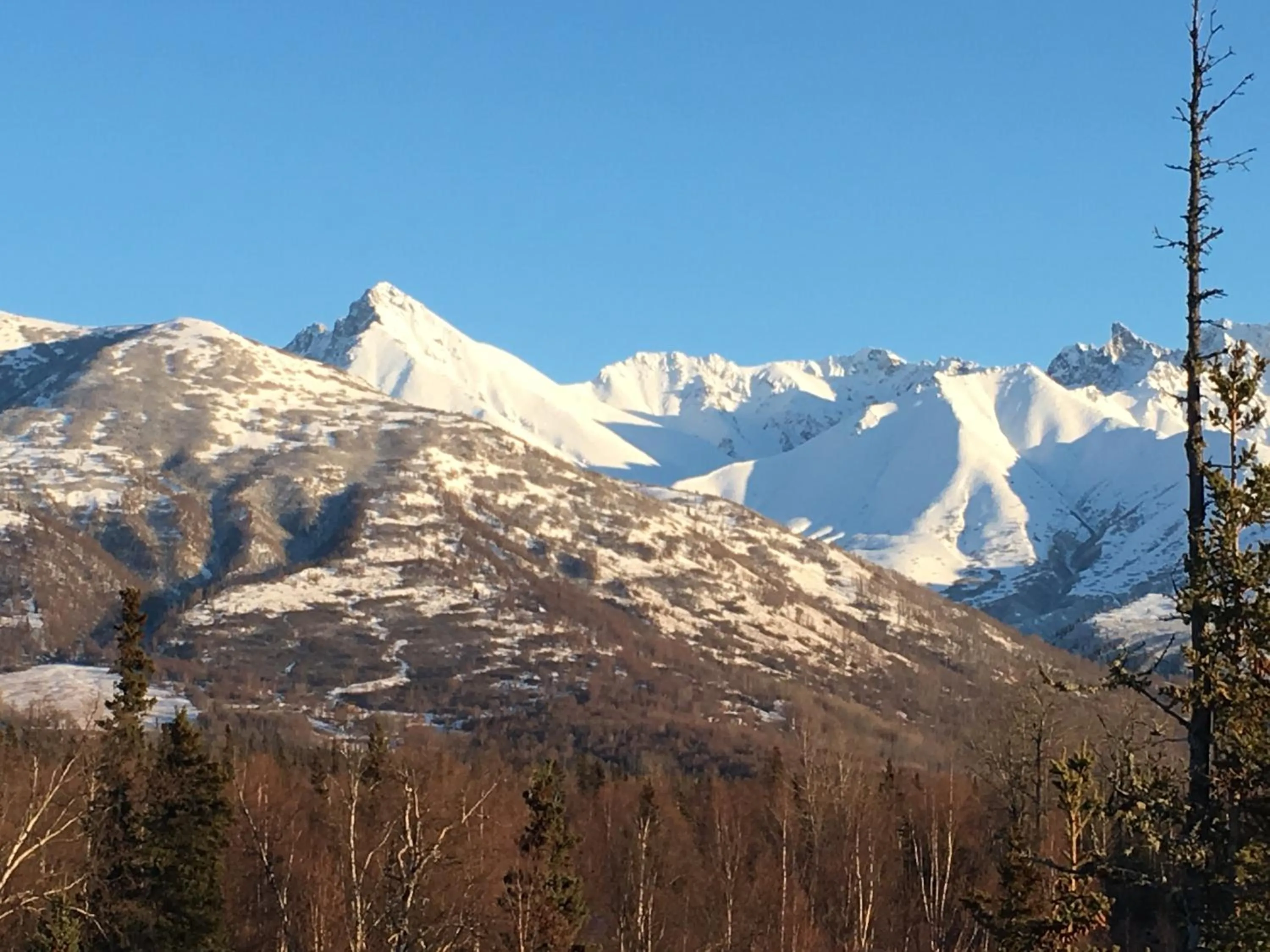 Mountain view in Alaska Knotty Pine B&B