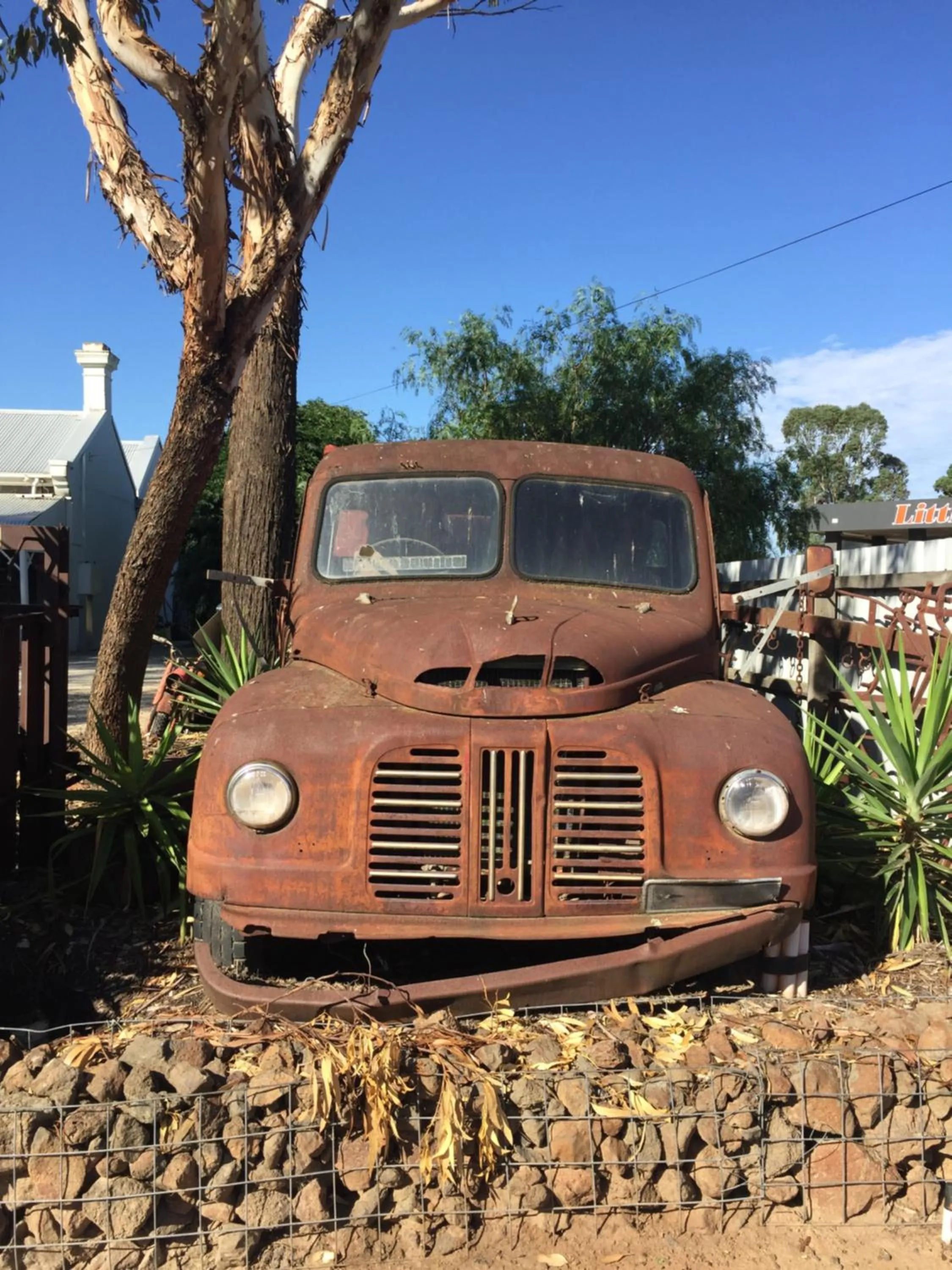 Garden in Little River Bed and Breakfast