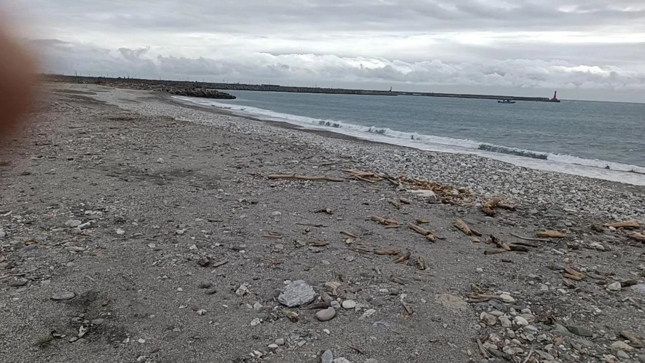 Constellation Coast B&B