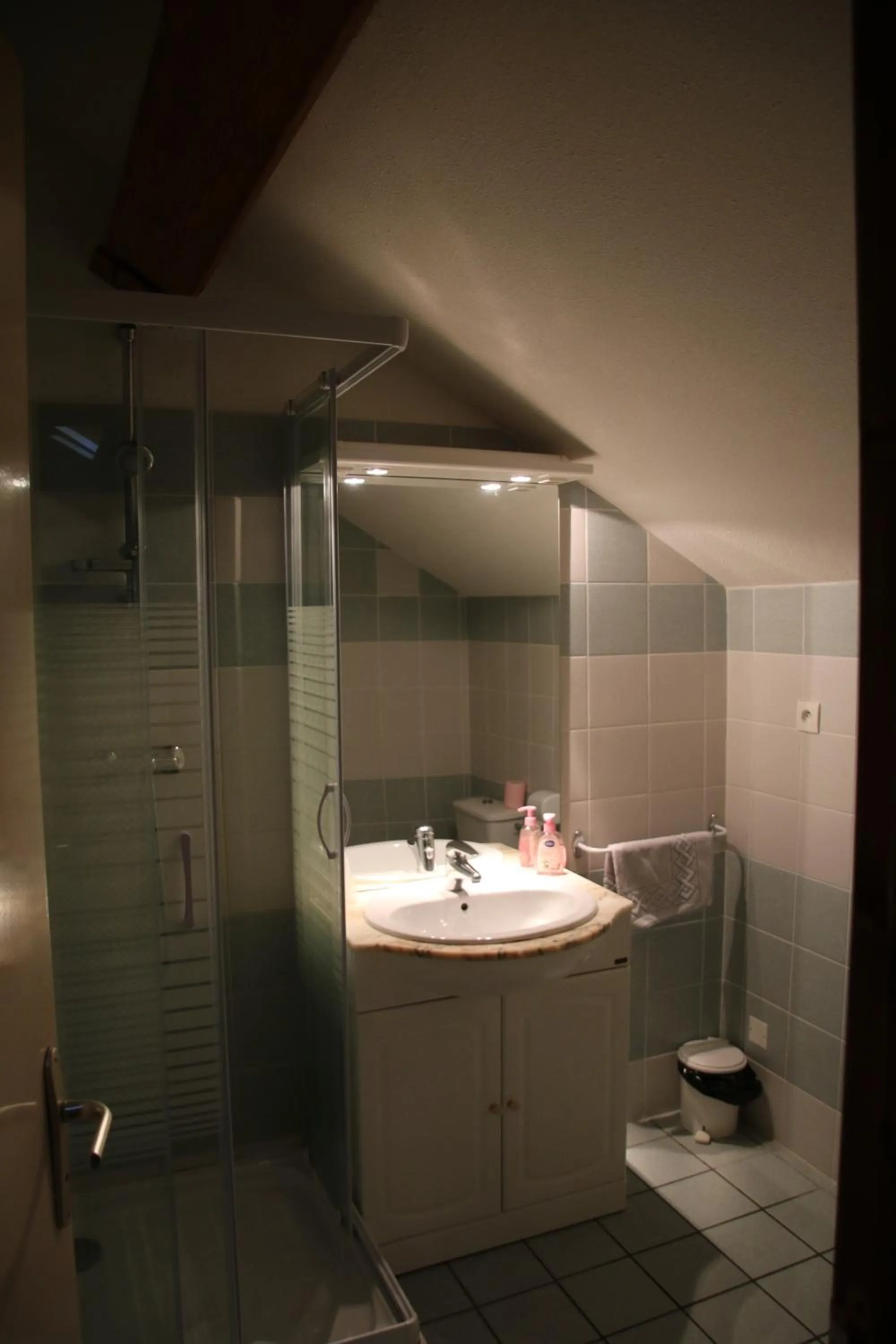 Bathroom in Gite et camping Ascou La Forge