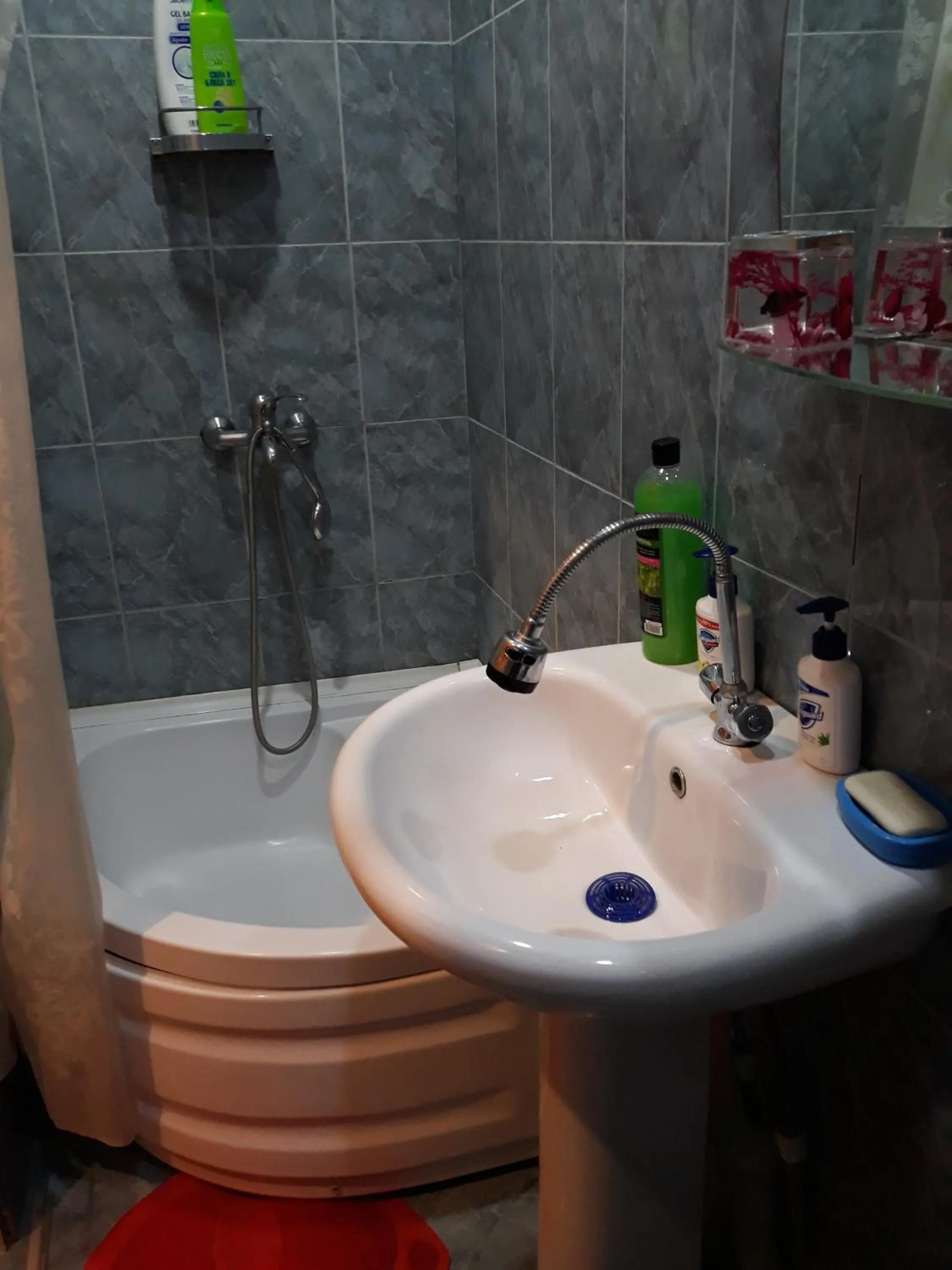Shower in Apartment On Erekle