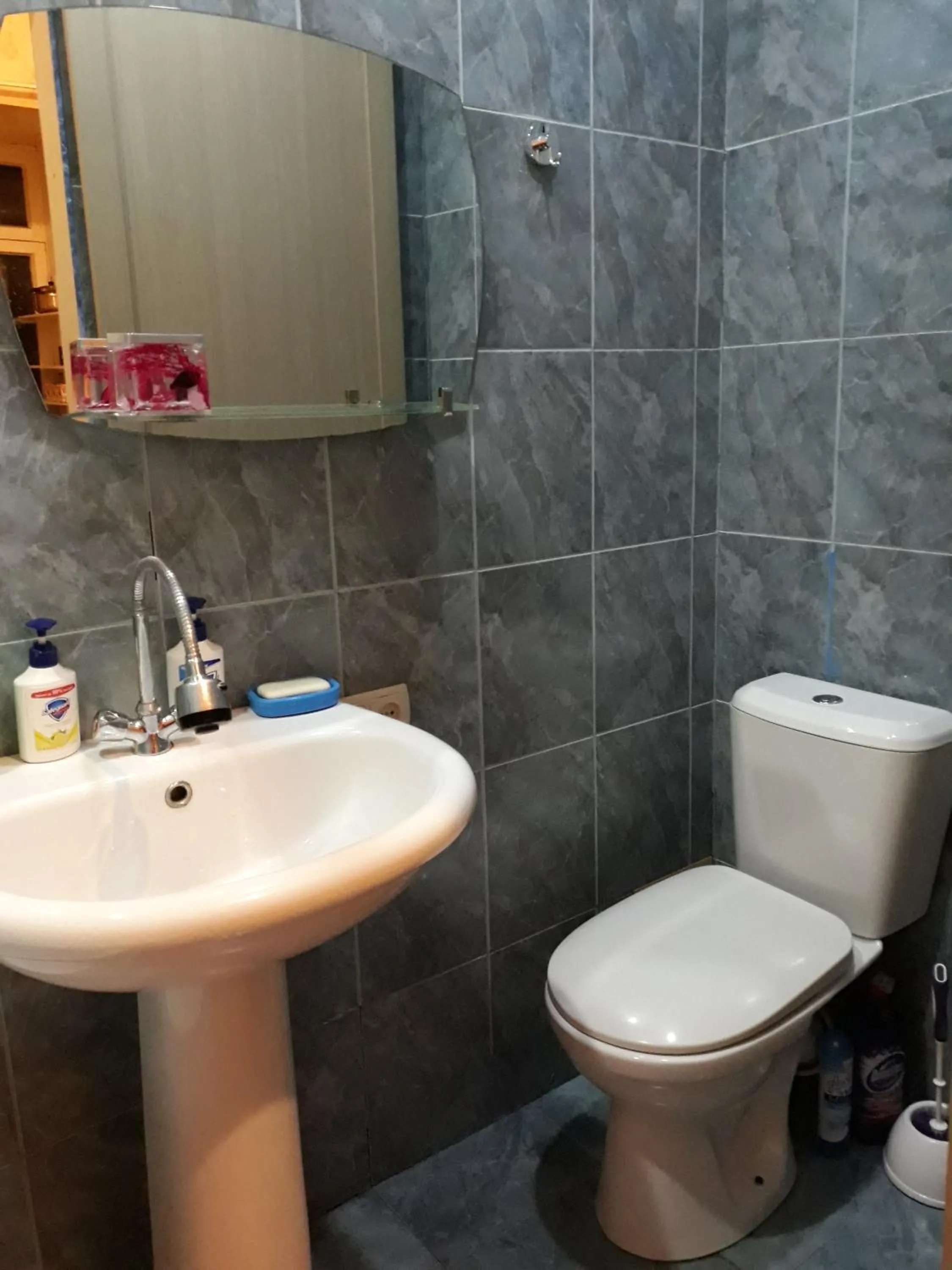 Bathroom in Apartment On Erekle