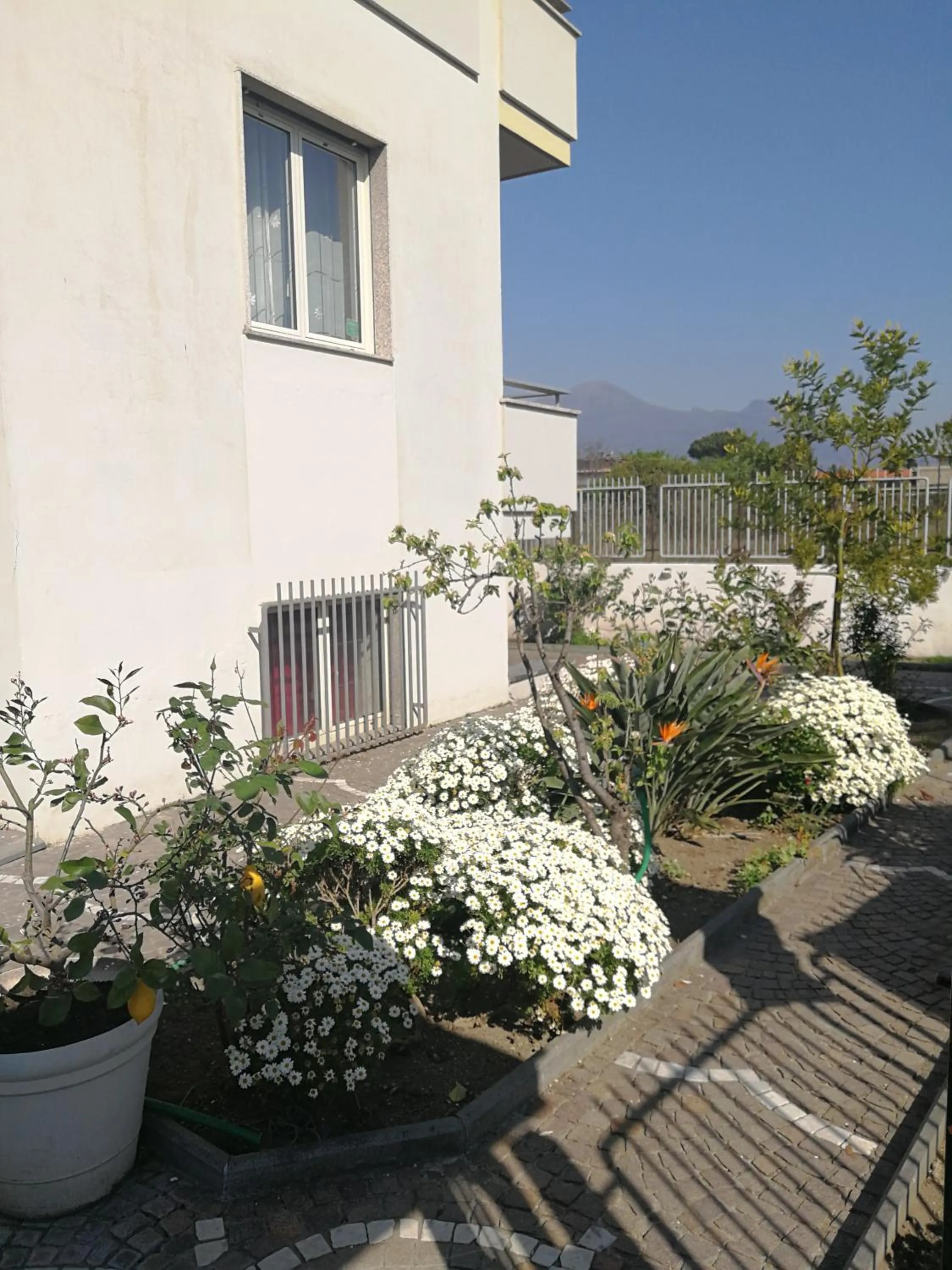 Garden in AreA DomuS