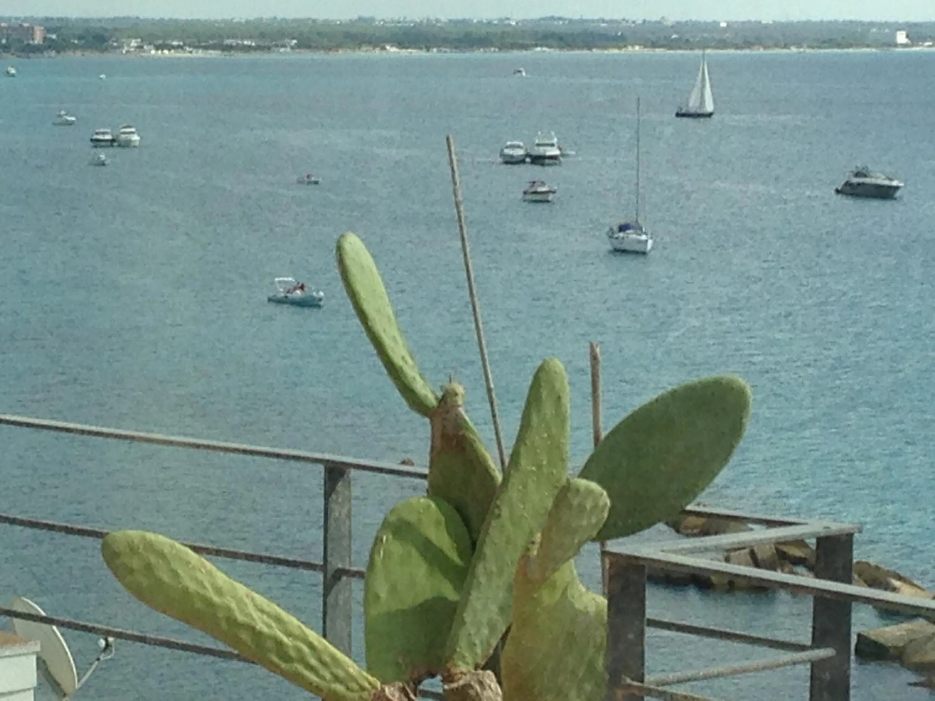 Natural landscape in Salento Palace Bed & Breakfast