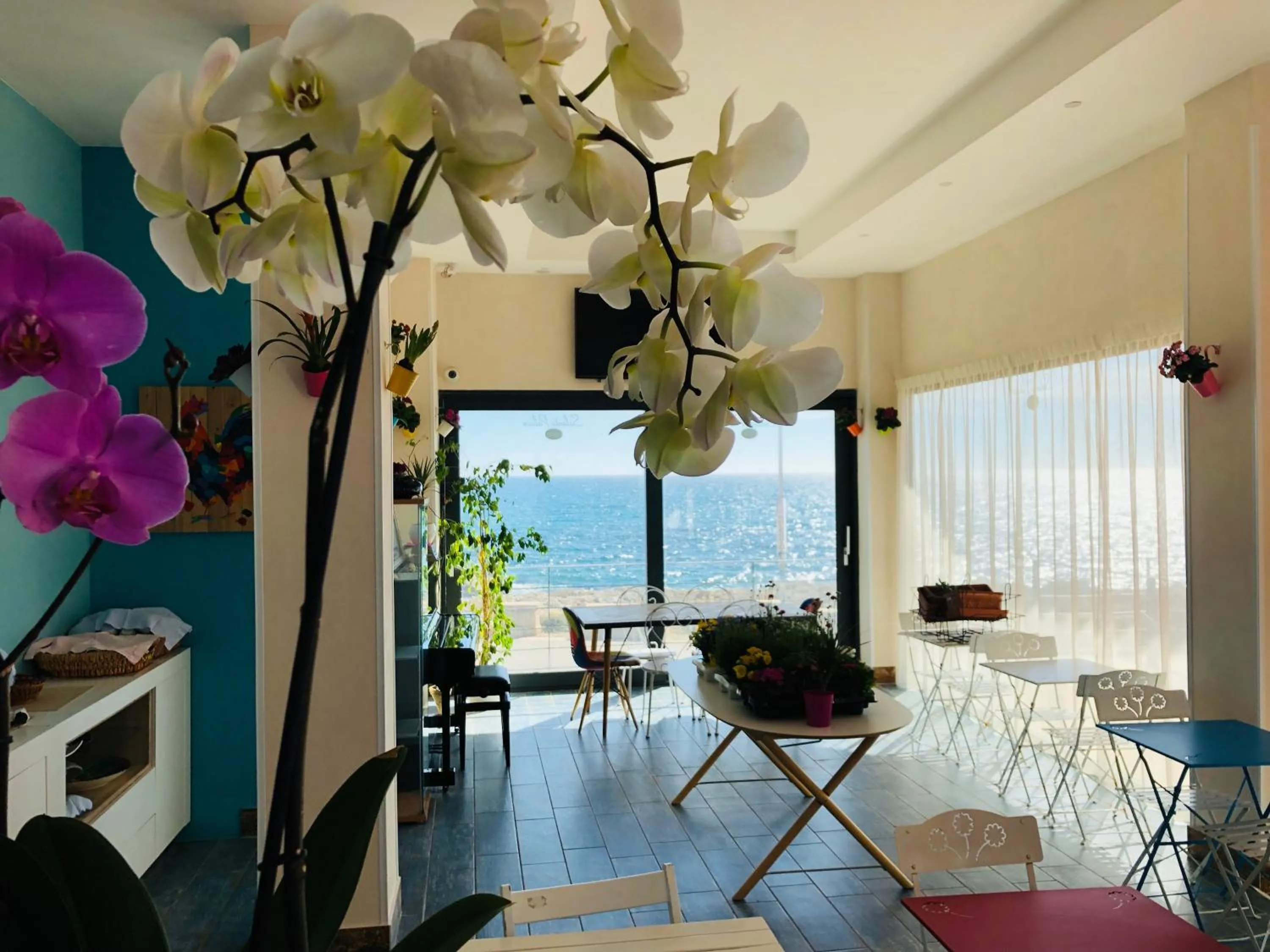 Communal lounge/ TV room in Salento Palace Bed & Breakfast