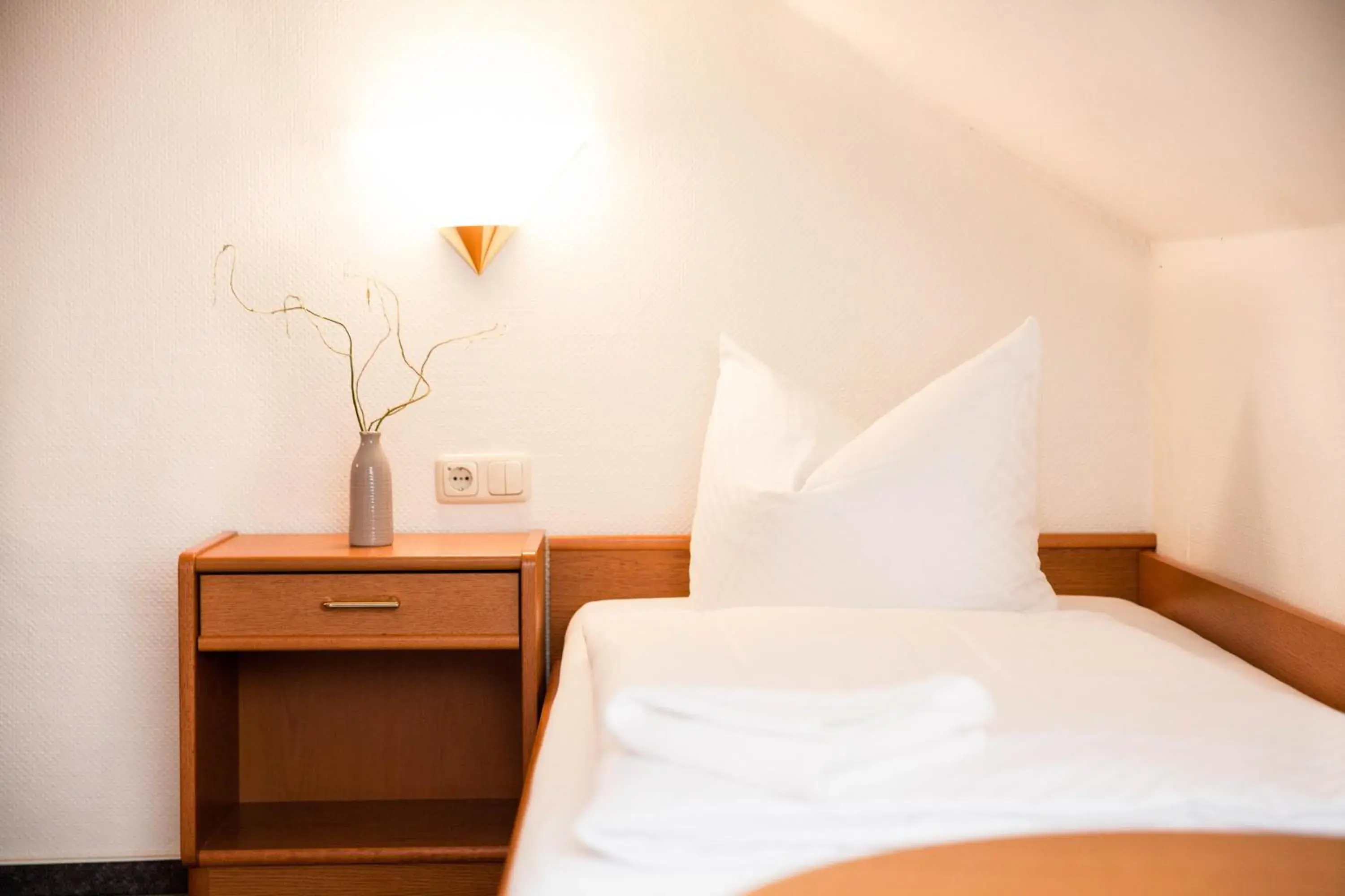 Single Room - single occupancy in Hotel Am Meilenstein Single Room - single occupancy in Hotel Am Meilenstein