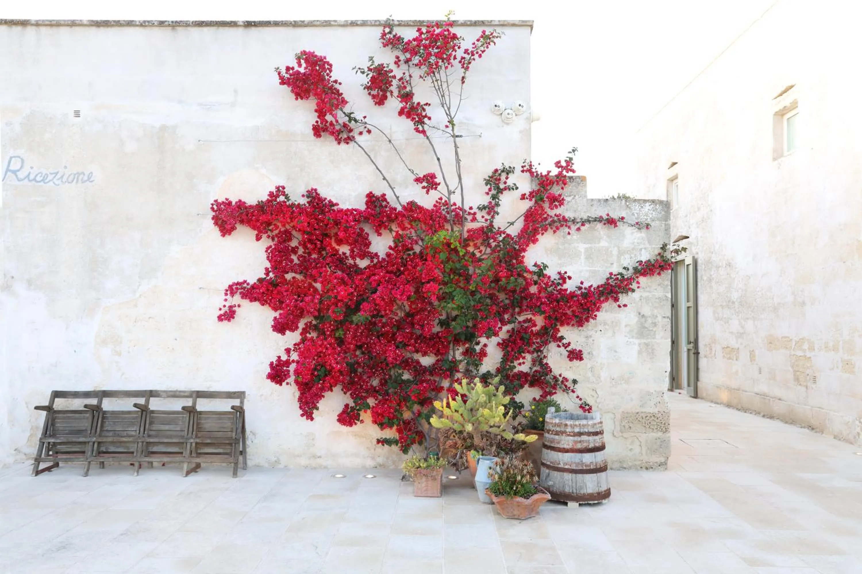 Spring in Masseria Borgo Sentinella
