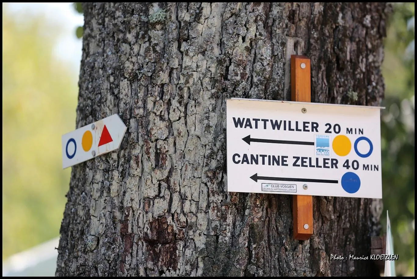 Hiking in Domaine du Hirtz, Restaurant & Spa