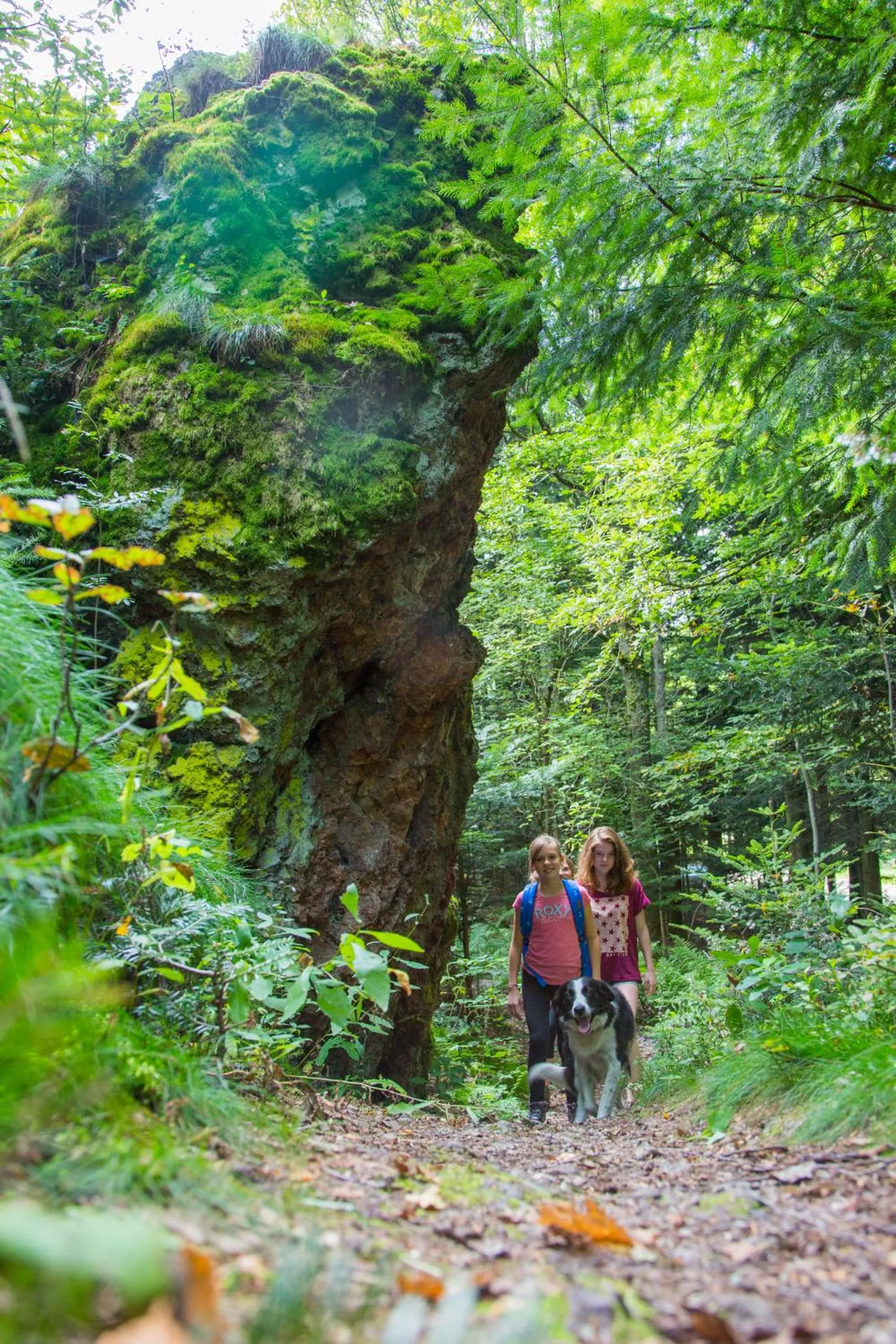 Activities in Domaine du Hirtz, Restaurant & Spa