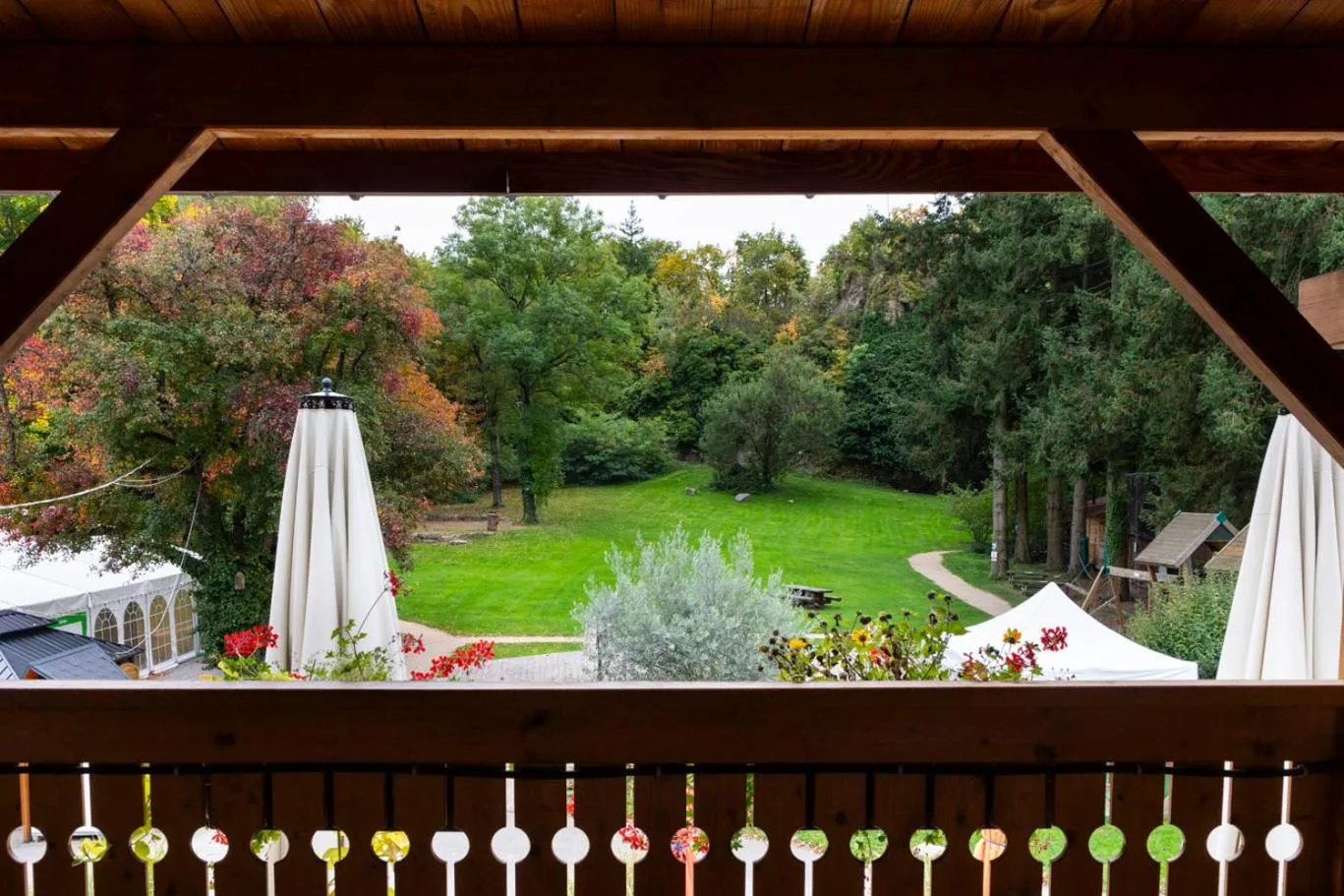 View (from property/room) in Domaine du Hirtz, Restaurant & Spa