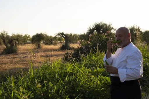 Garden in Zahir Country House Boutique Hotel