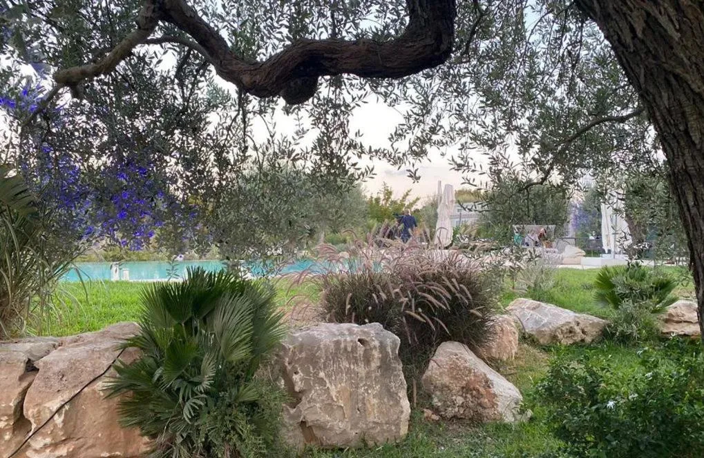 Garden in Zahir Country House Boutique Hotel