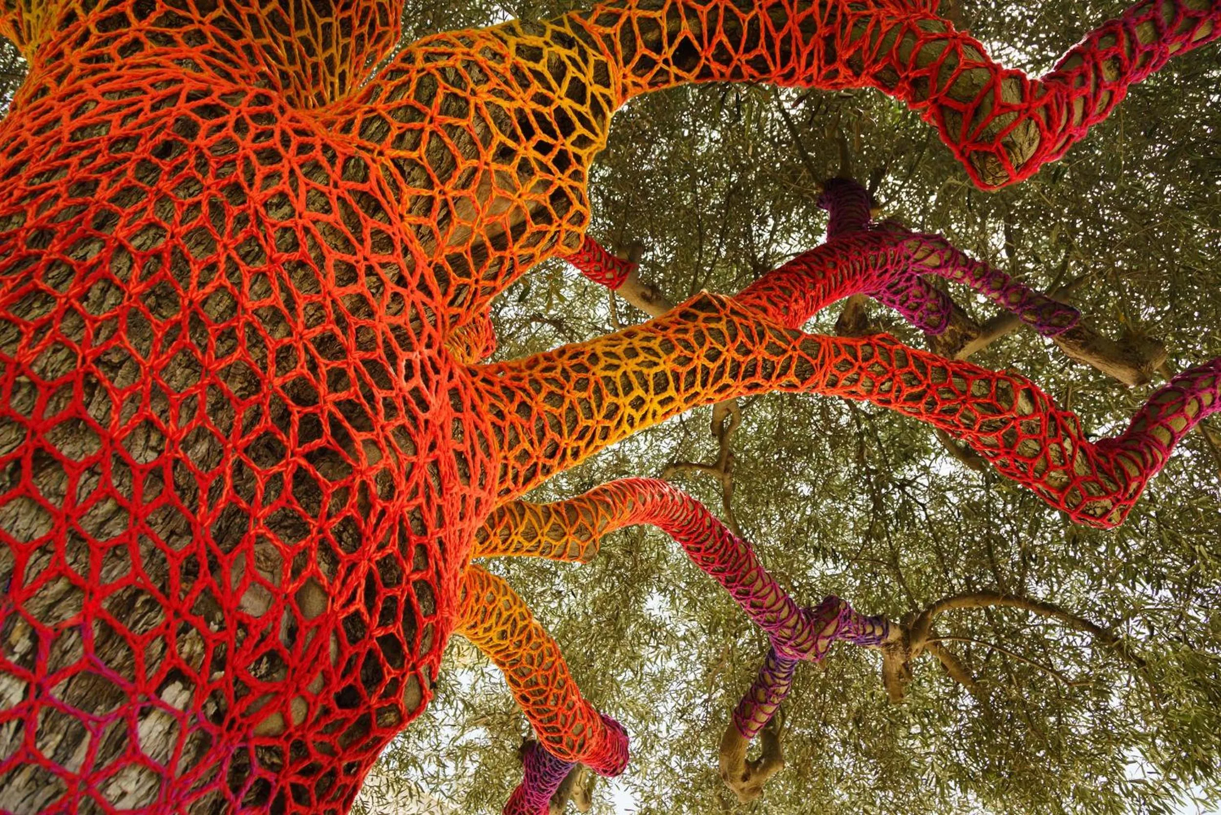 Garden in Zahir Country House Boutique Hotel