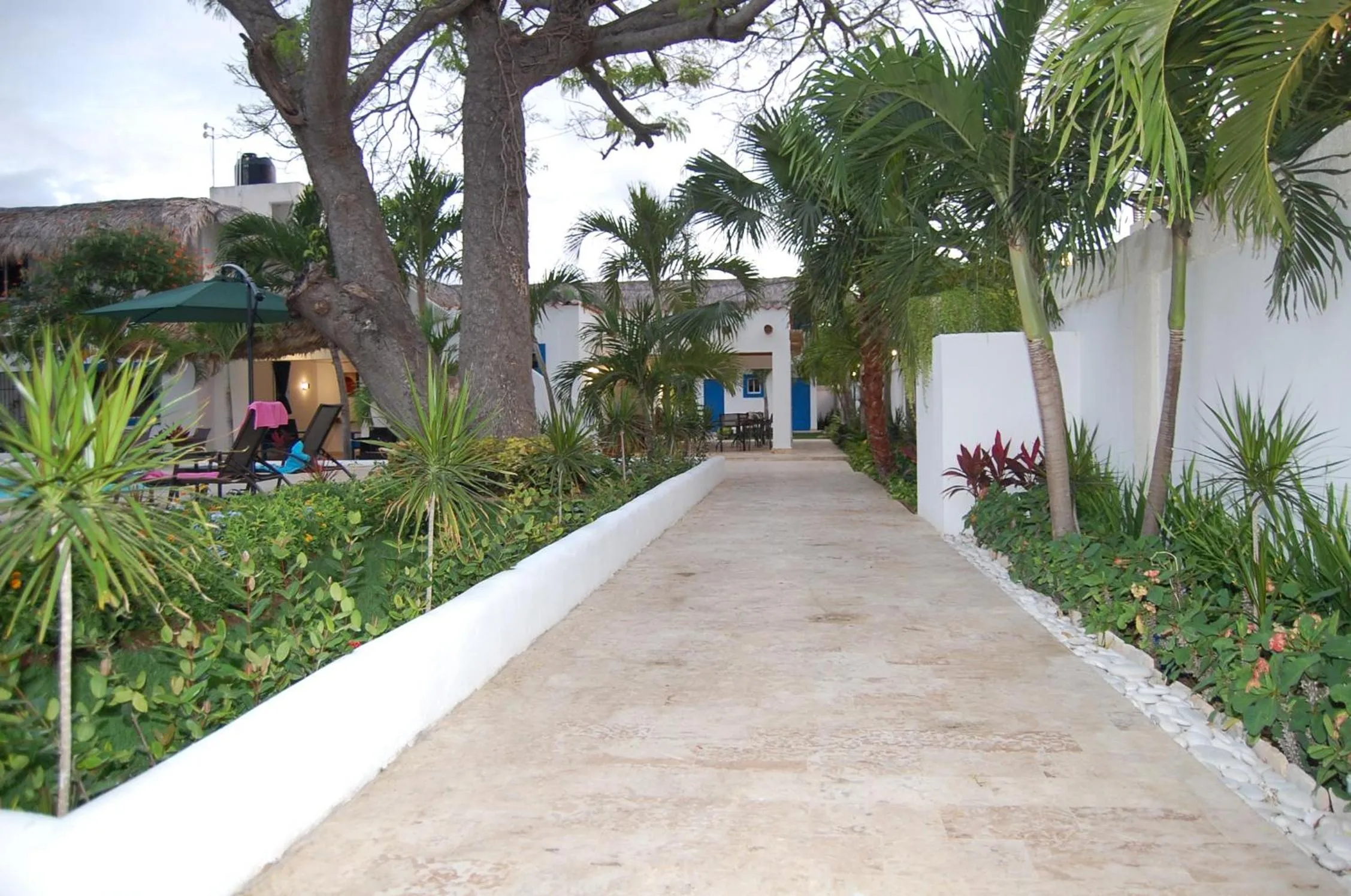 Natural landscape in Nuovo Hotel Playa Catalina