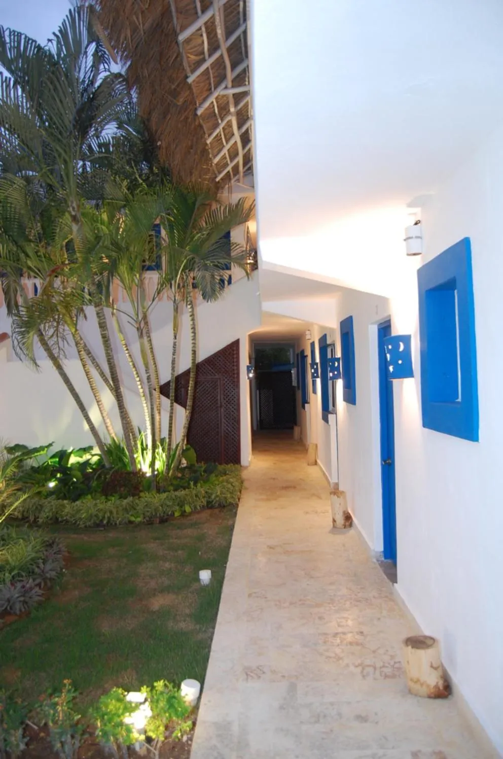 Garden in Nuovo Hotel Playa Catalina