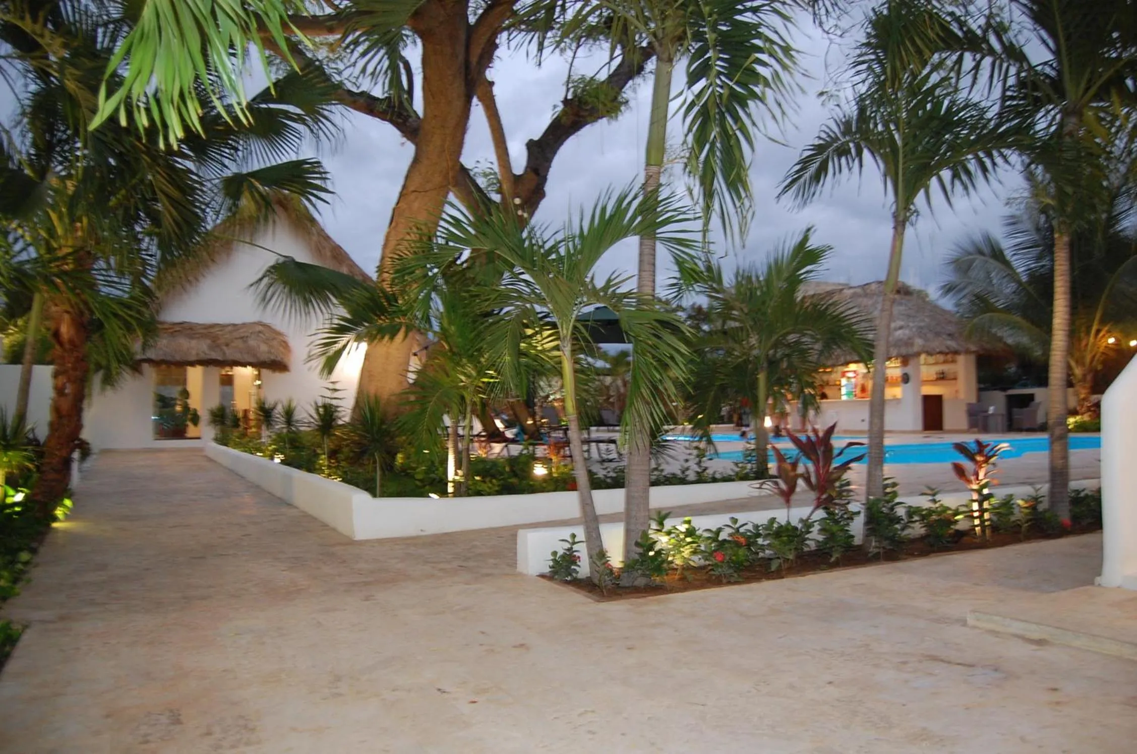 Natural landscape in Nuovo Hotel Playa Catalina