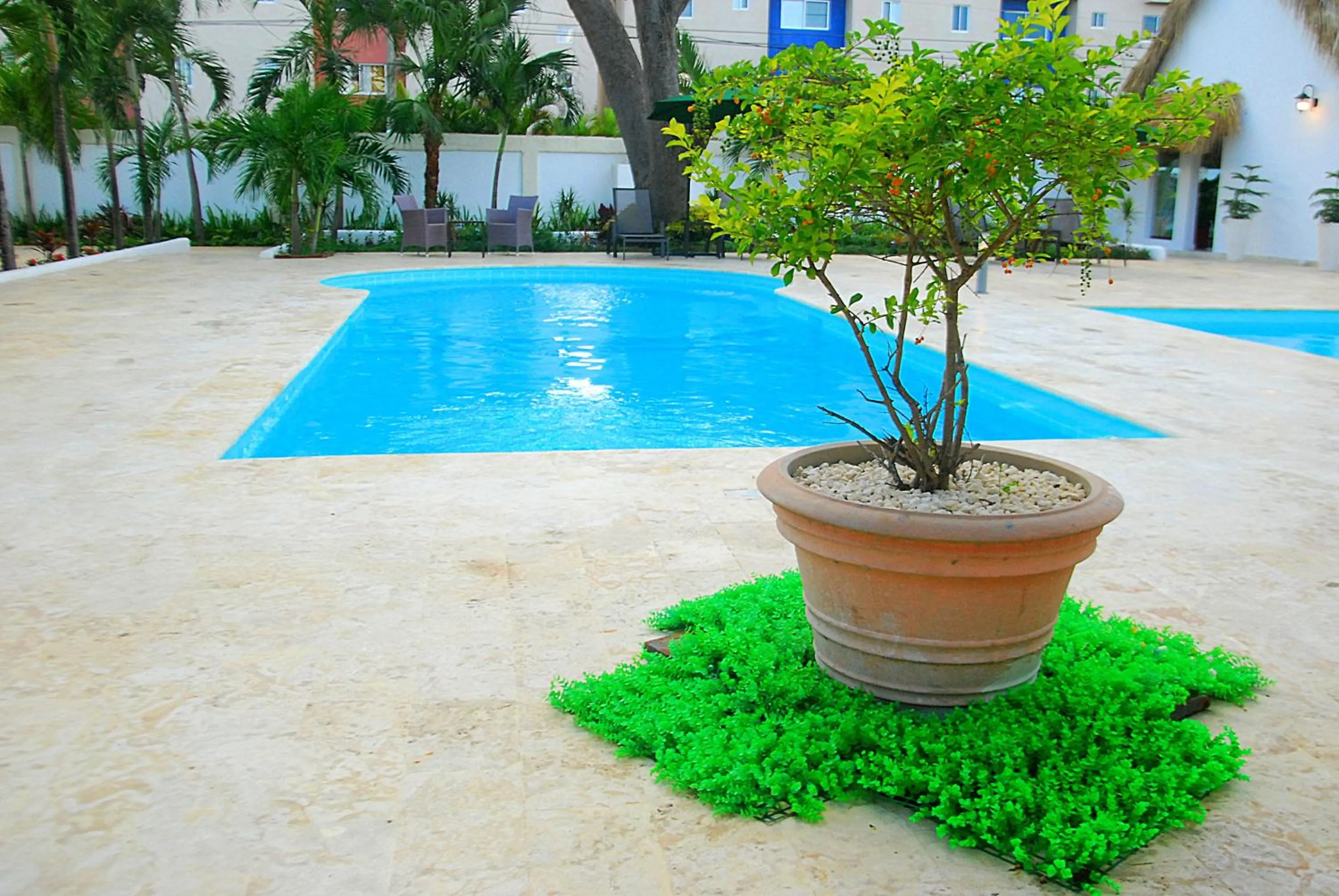 Pool view in Nuovo Hotel Playa Catalina