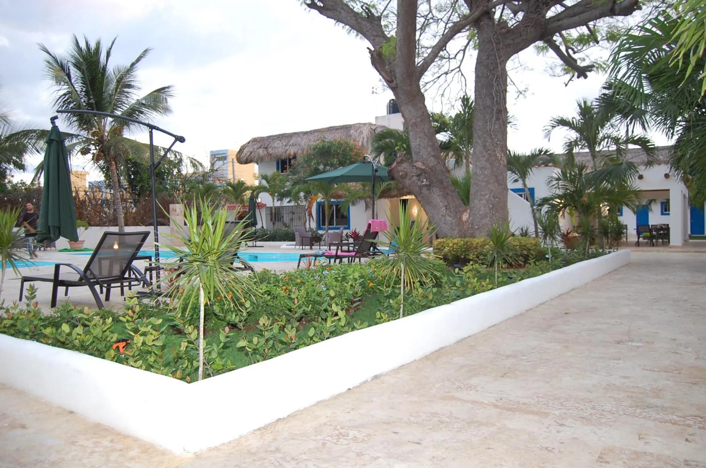 Natural landscape in Nuovo Hotel Playa Catalina