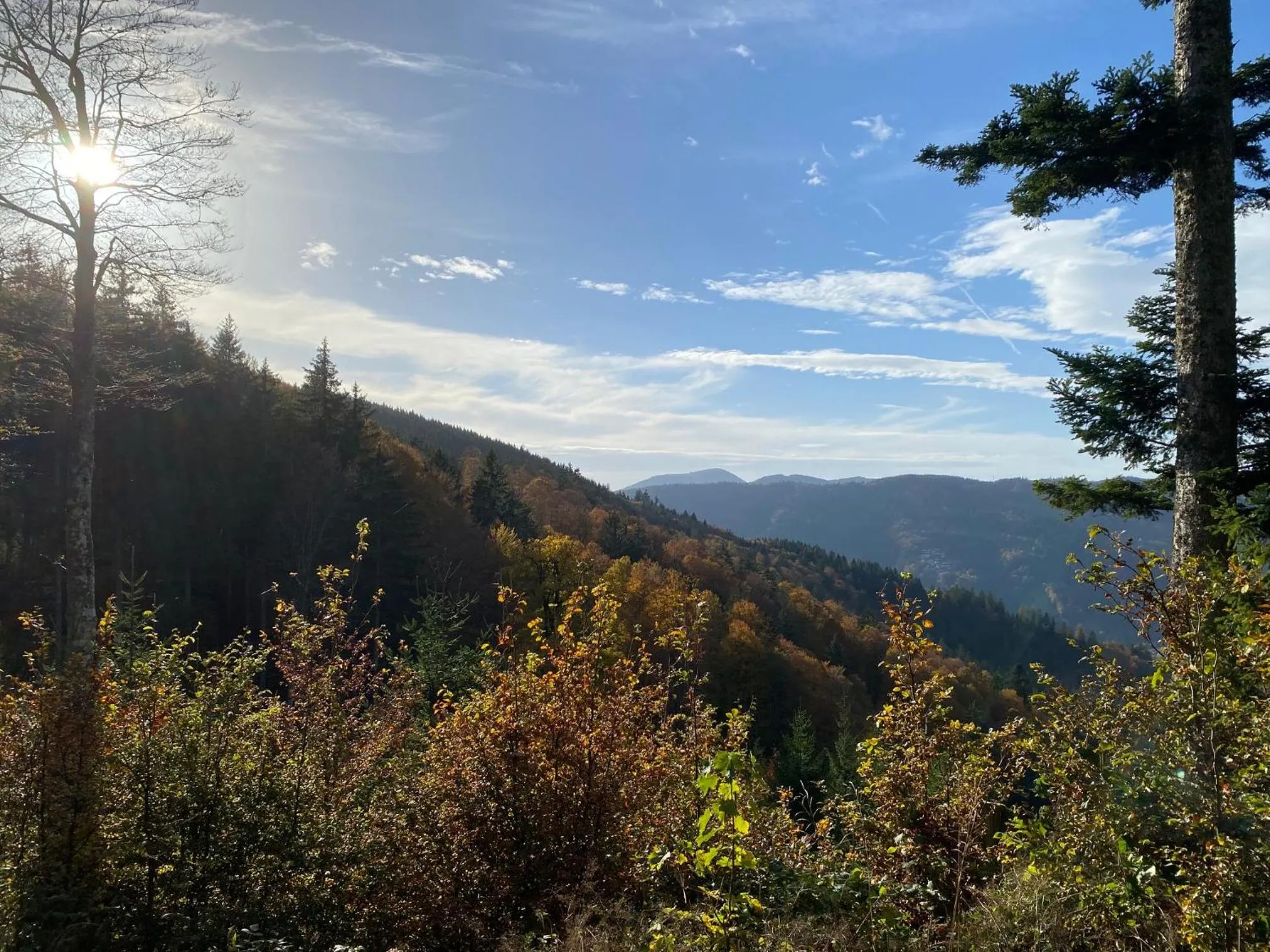Hiking in Hotel Waldeck in Todtnau