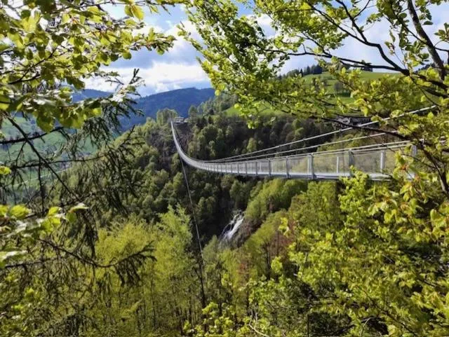 Hiking in Hotel Waldeck in Todtnau